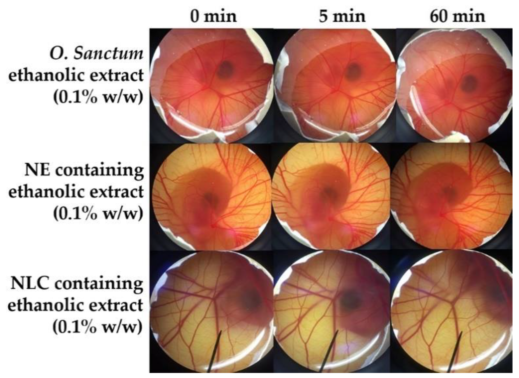 Pharmaceutics 12 00309 g009