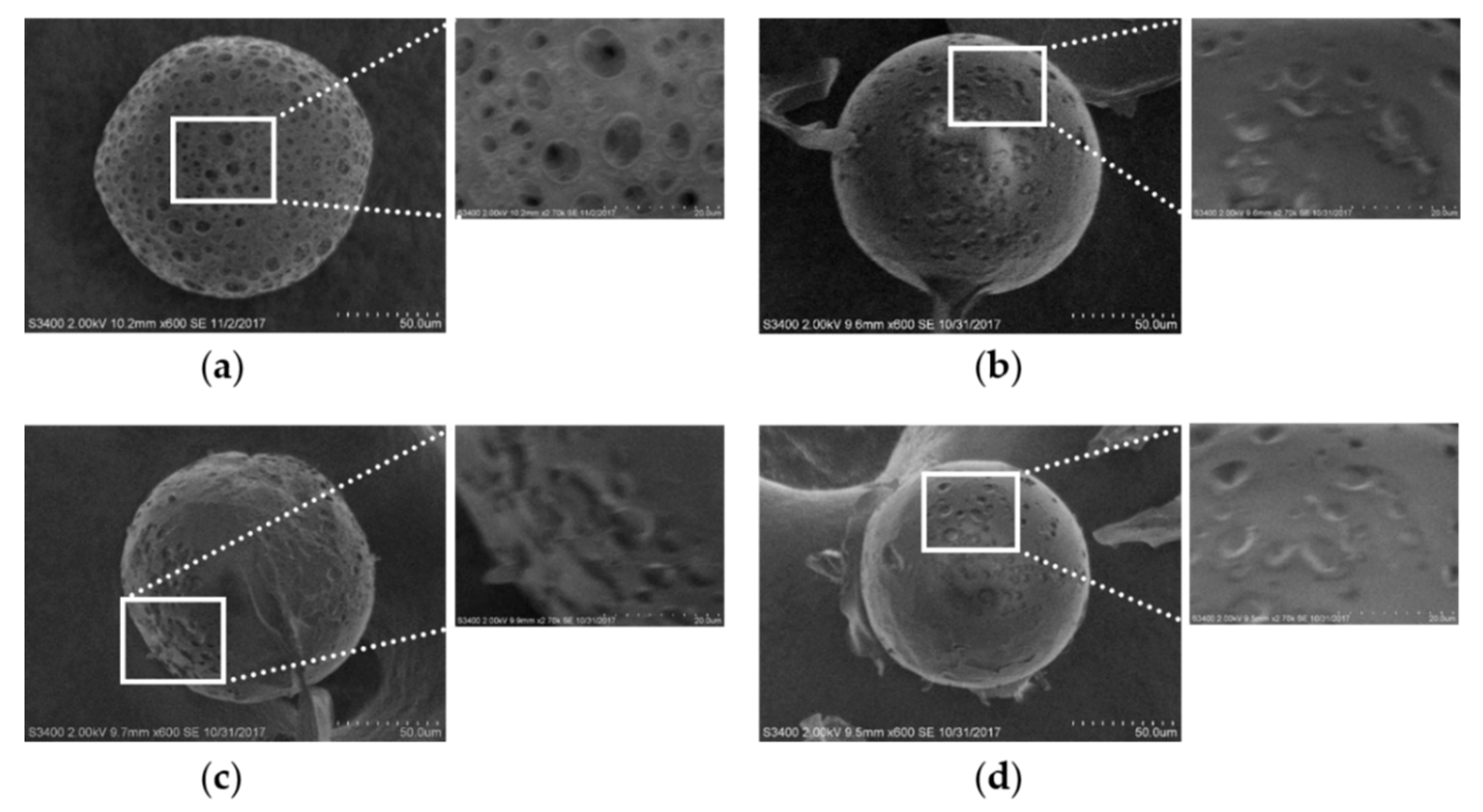 Pharmaceutics 12 00311 g003