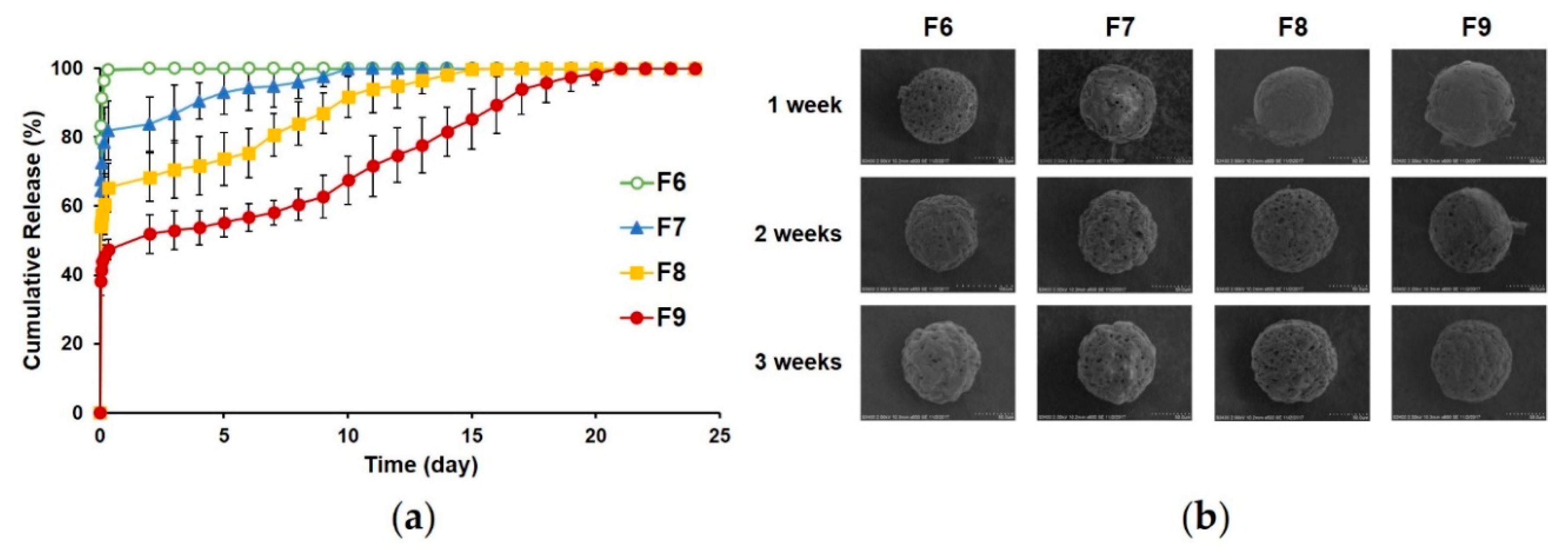 Pharmaceutics 12 00311 g006