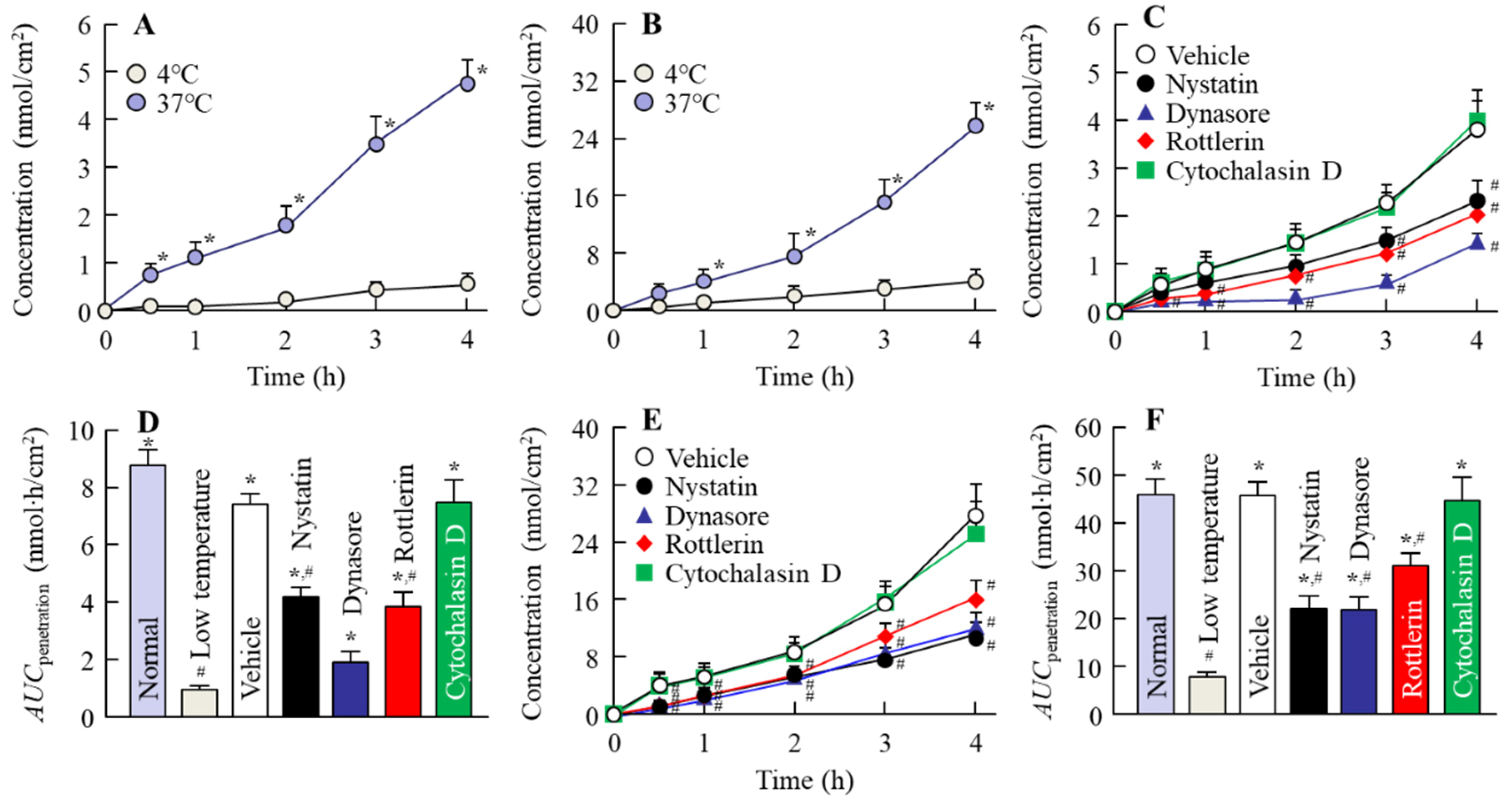 Pharmaceutics 12 00313 g004
