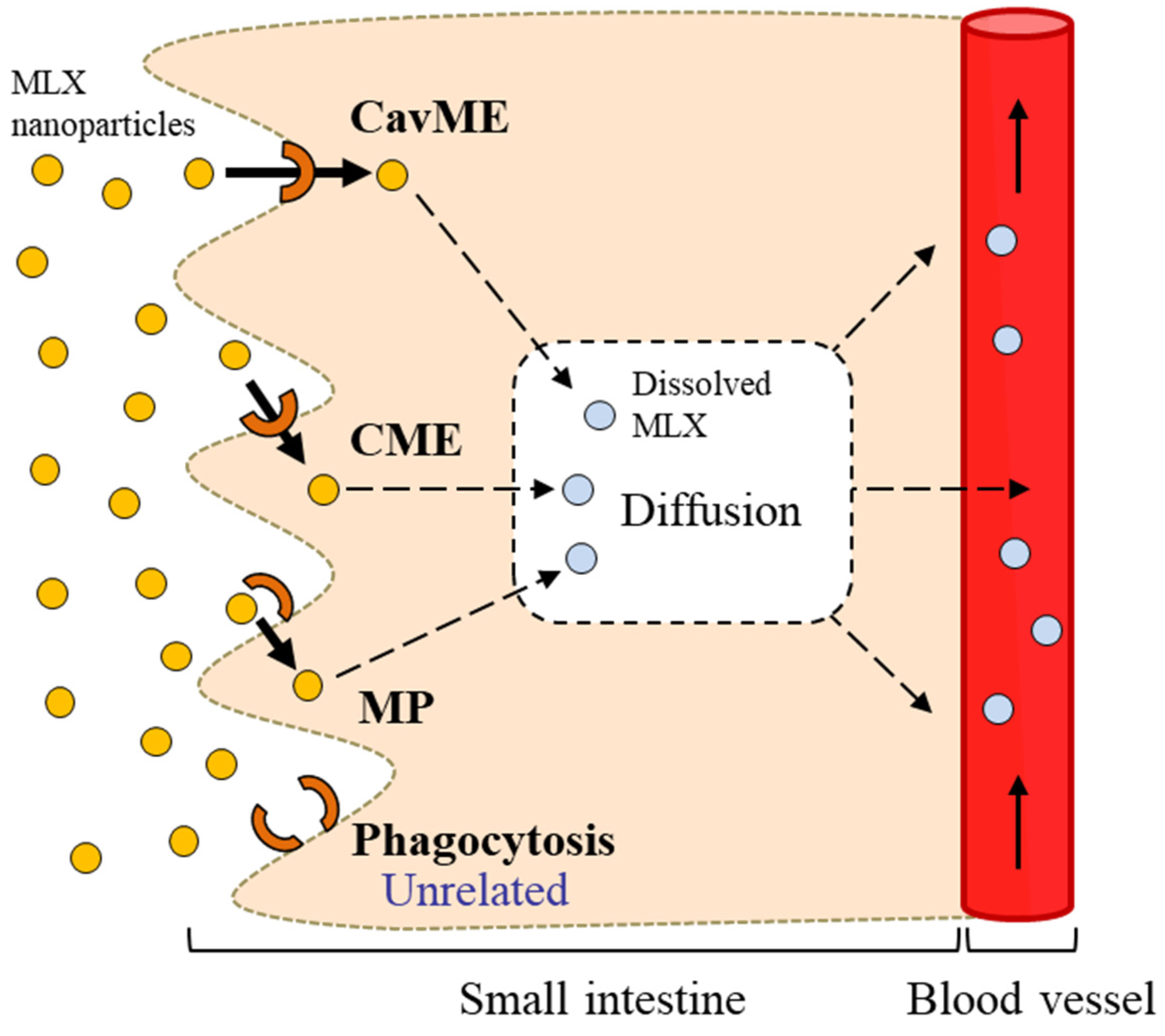Pharmaceutics 12 00313 sch001