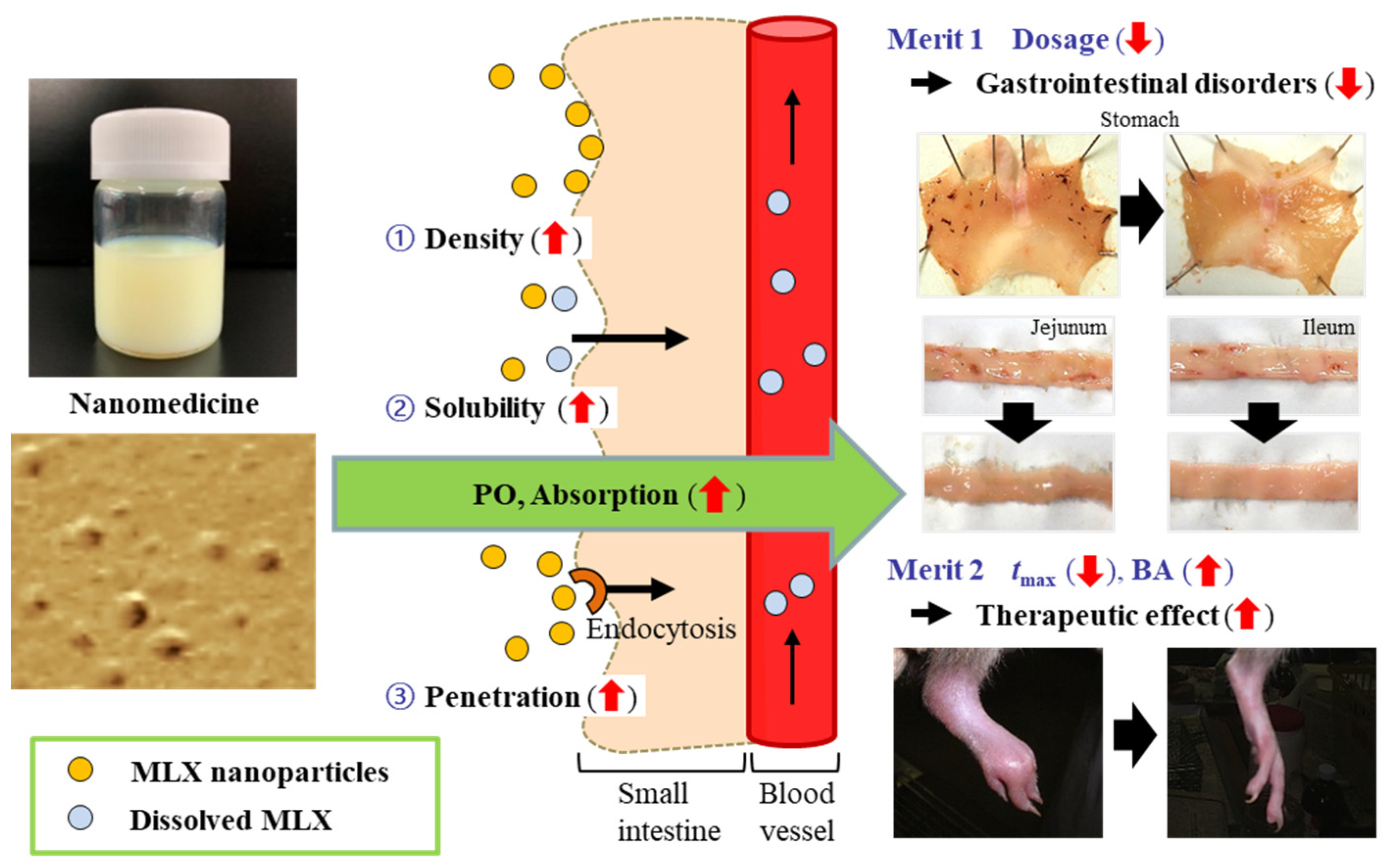 Pharmaceutics 12 00313 sch002
