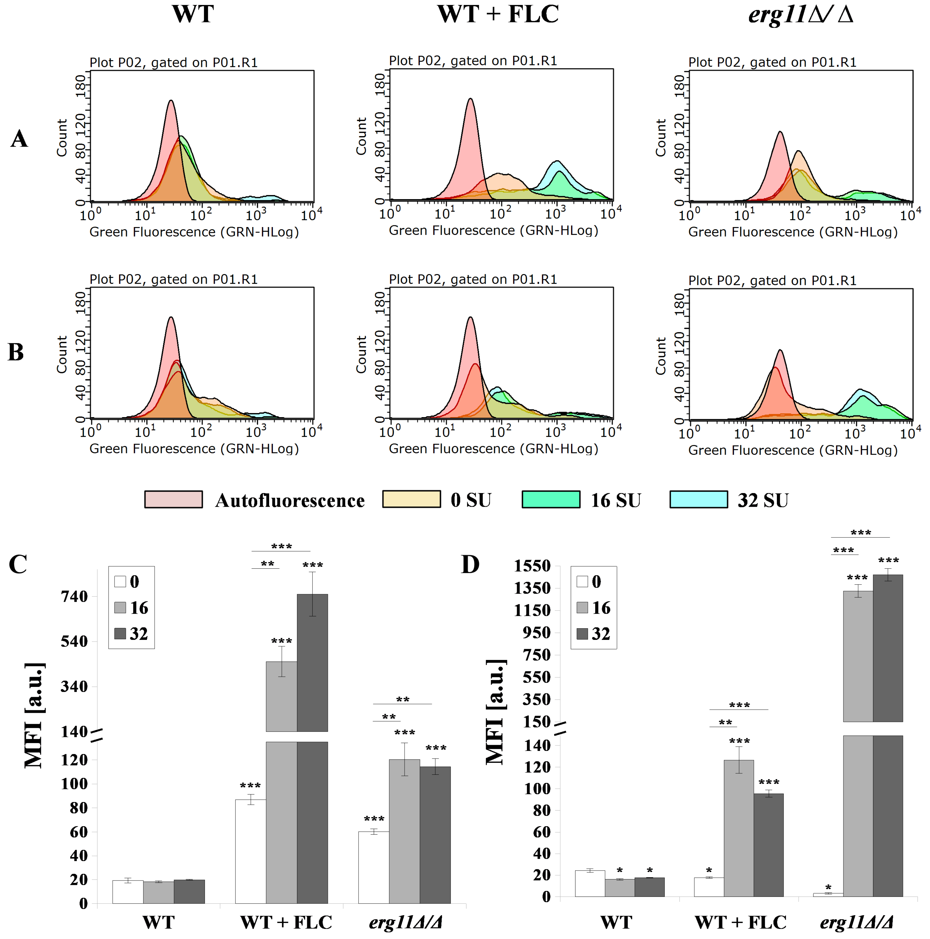 Pharmaceutics 12 00314 g005