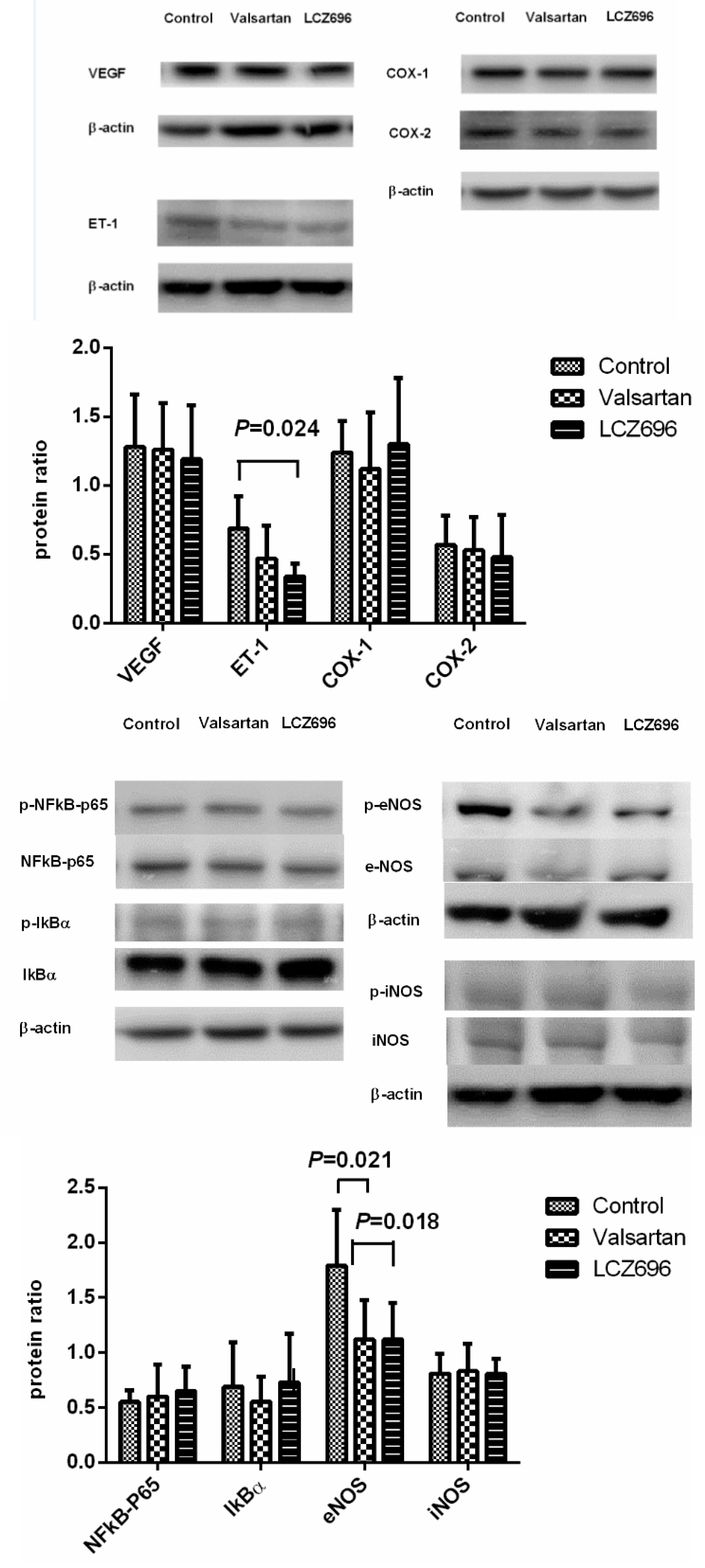 Pharmaceutics 12 00320 g004
