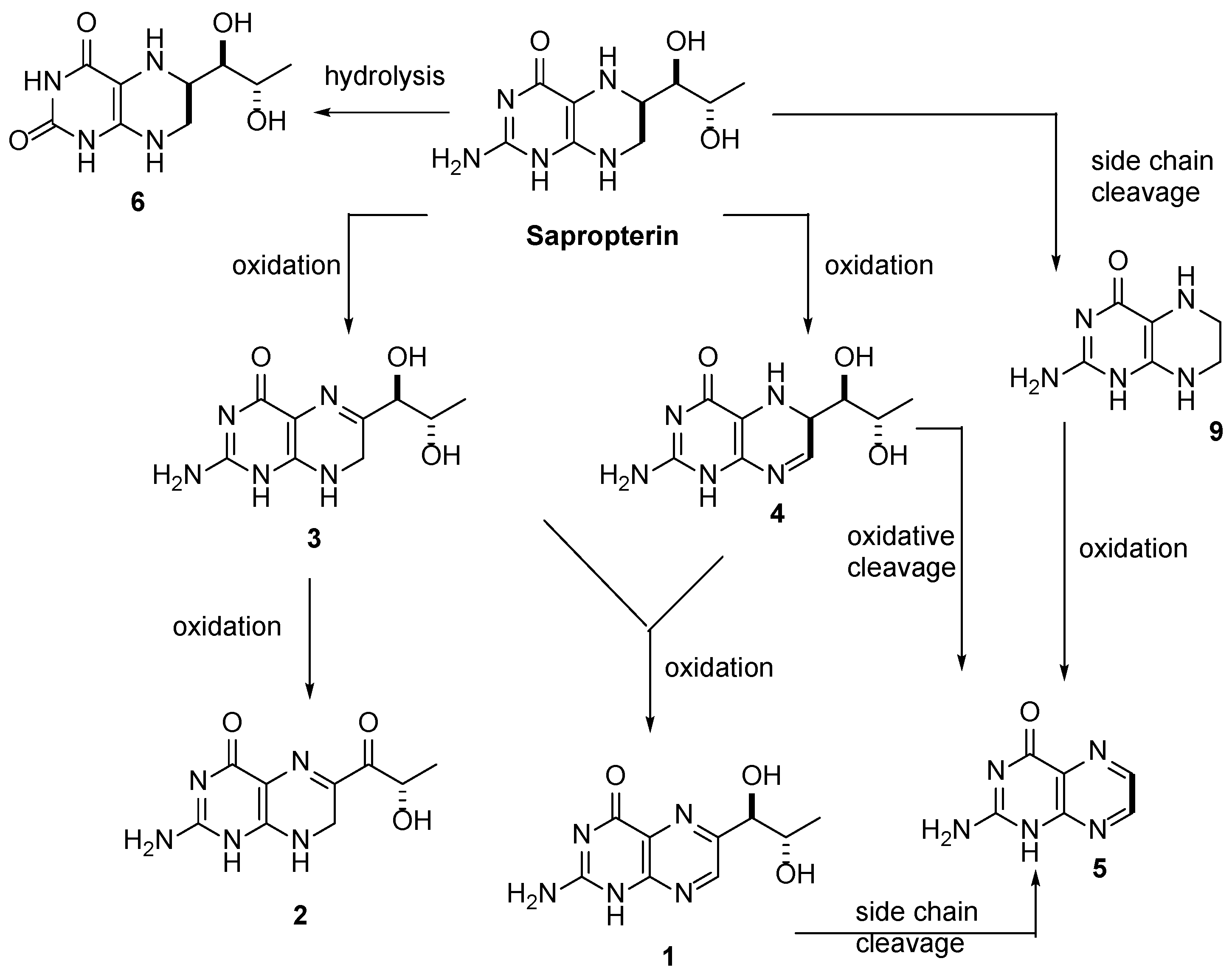 Pharmaceutics 12 00323 g004