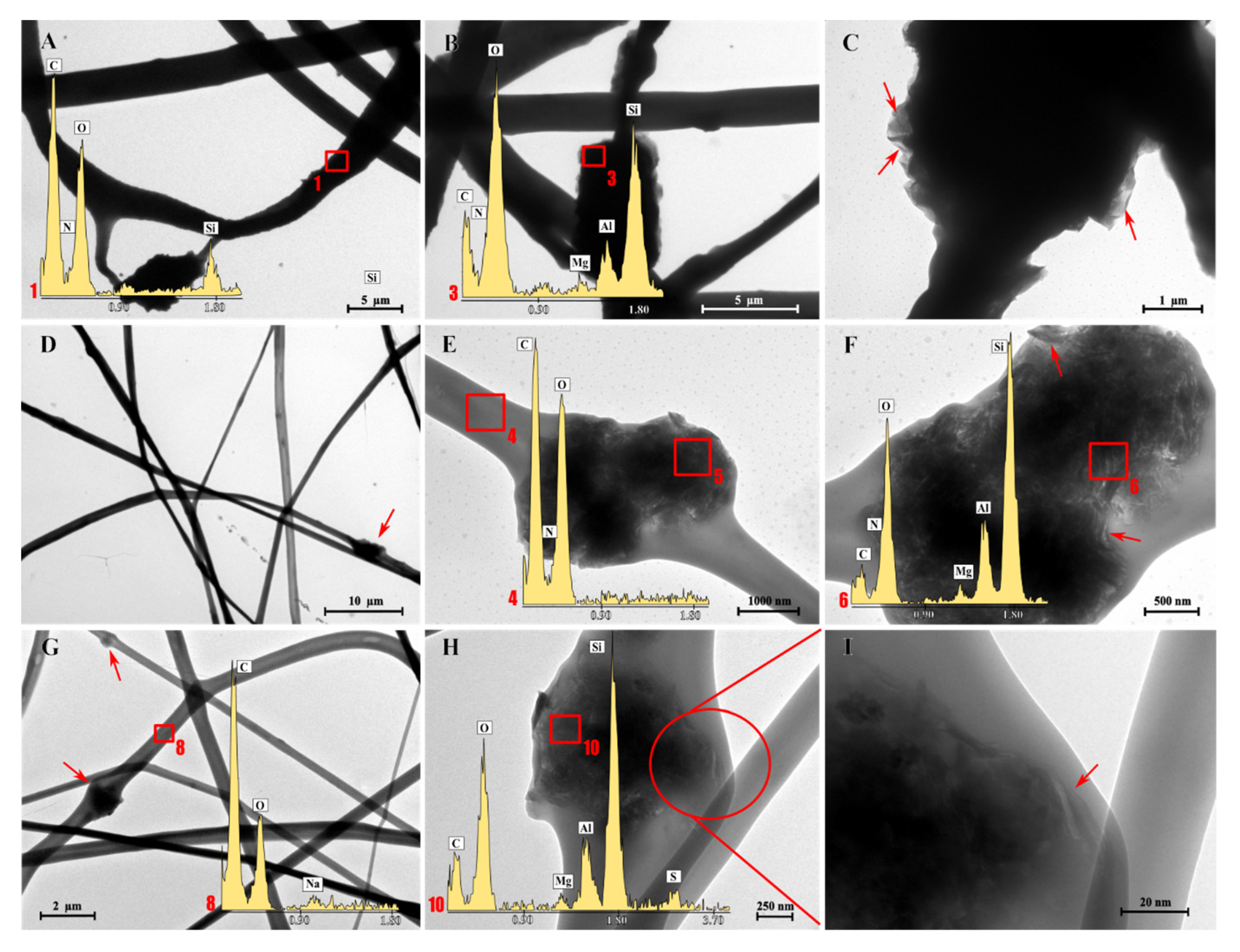 Pharmaceutics 12 00325 g003