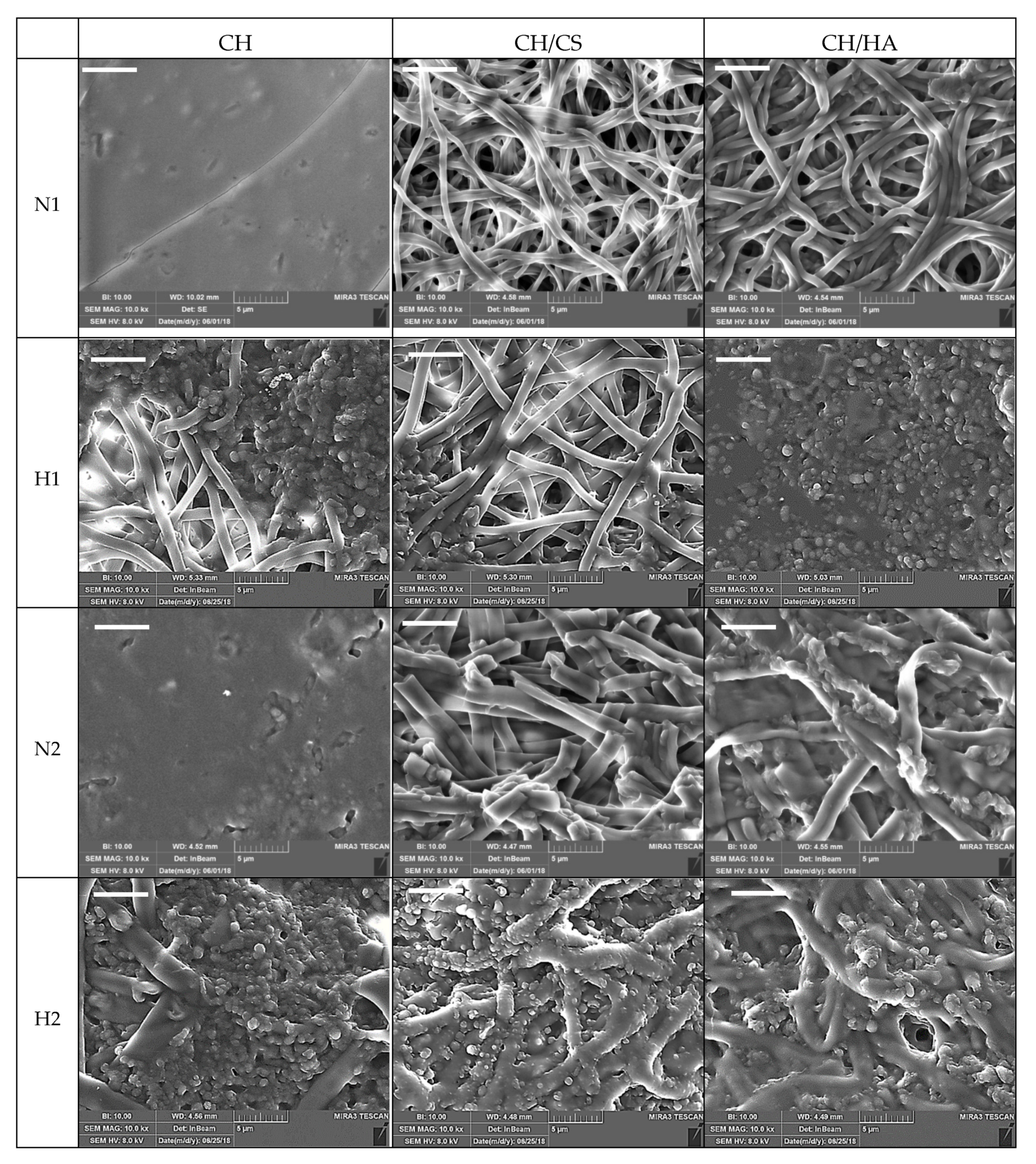 Pharmaceutics 12 00325 g009