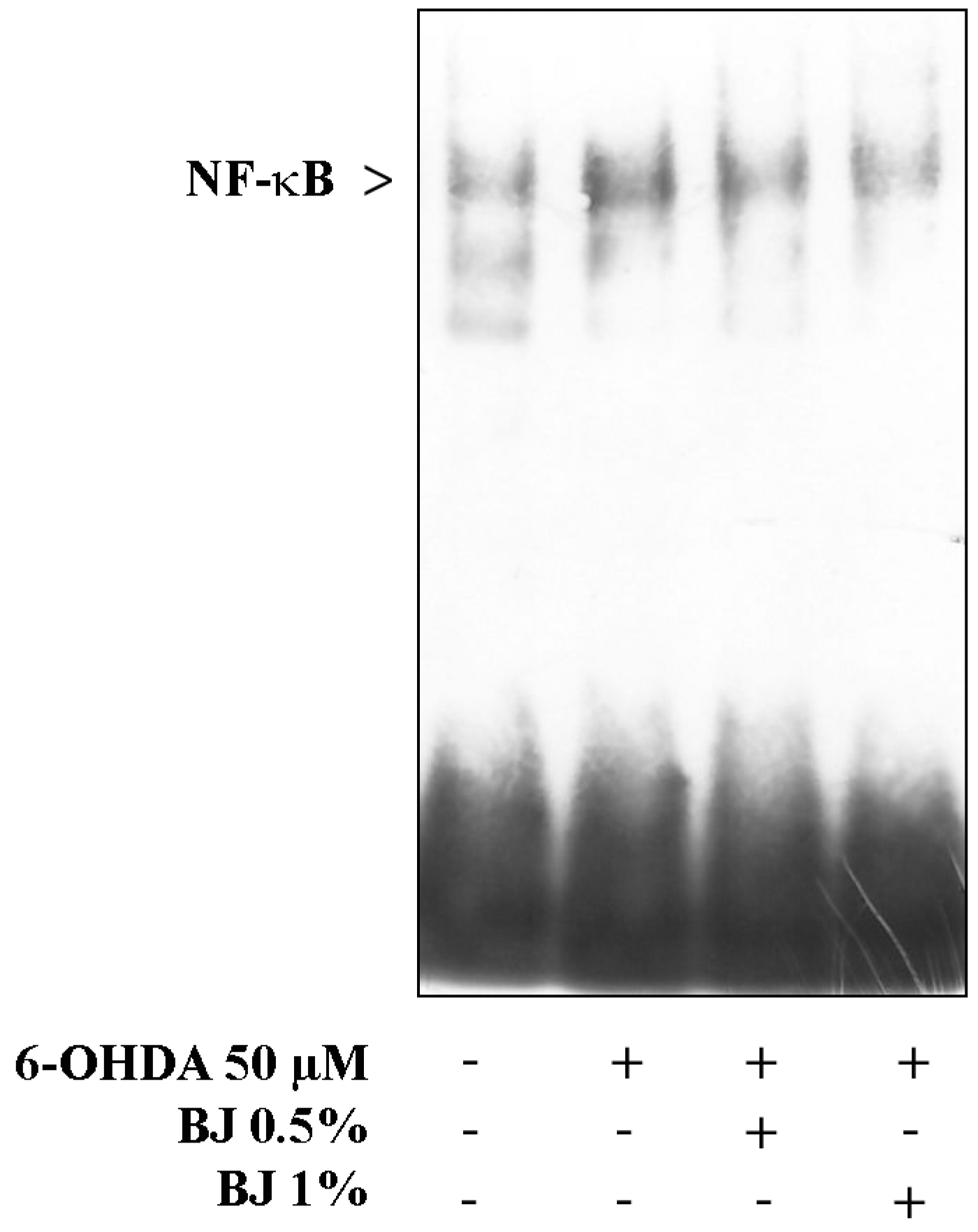 Pharmaceutics 12 00326 g007