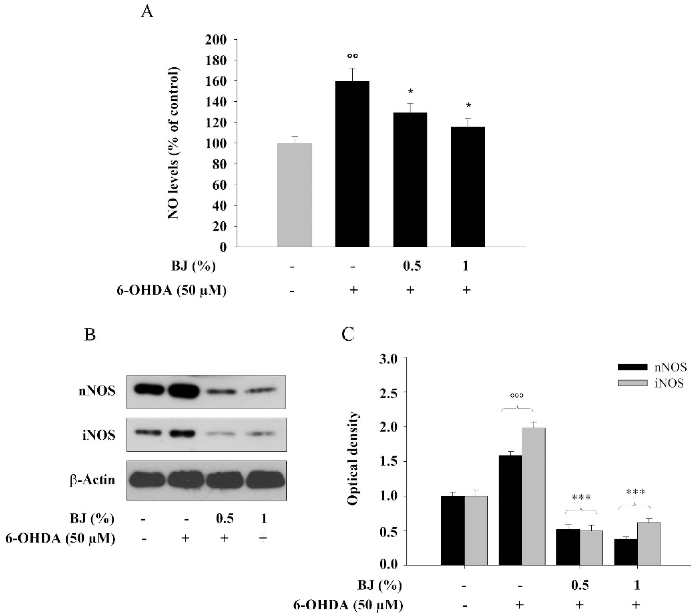 Pharmaceutics 12 00326 g008