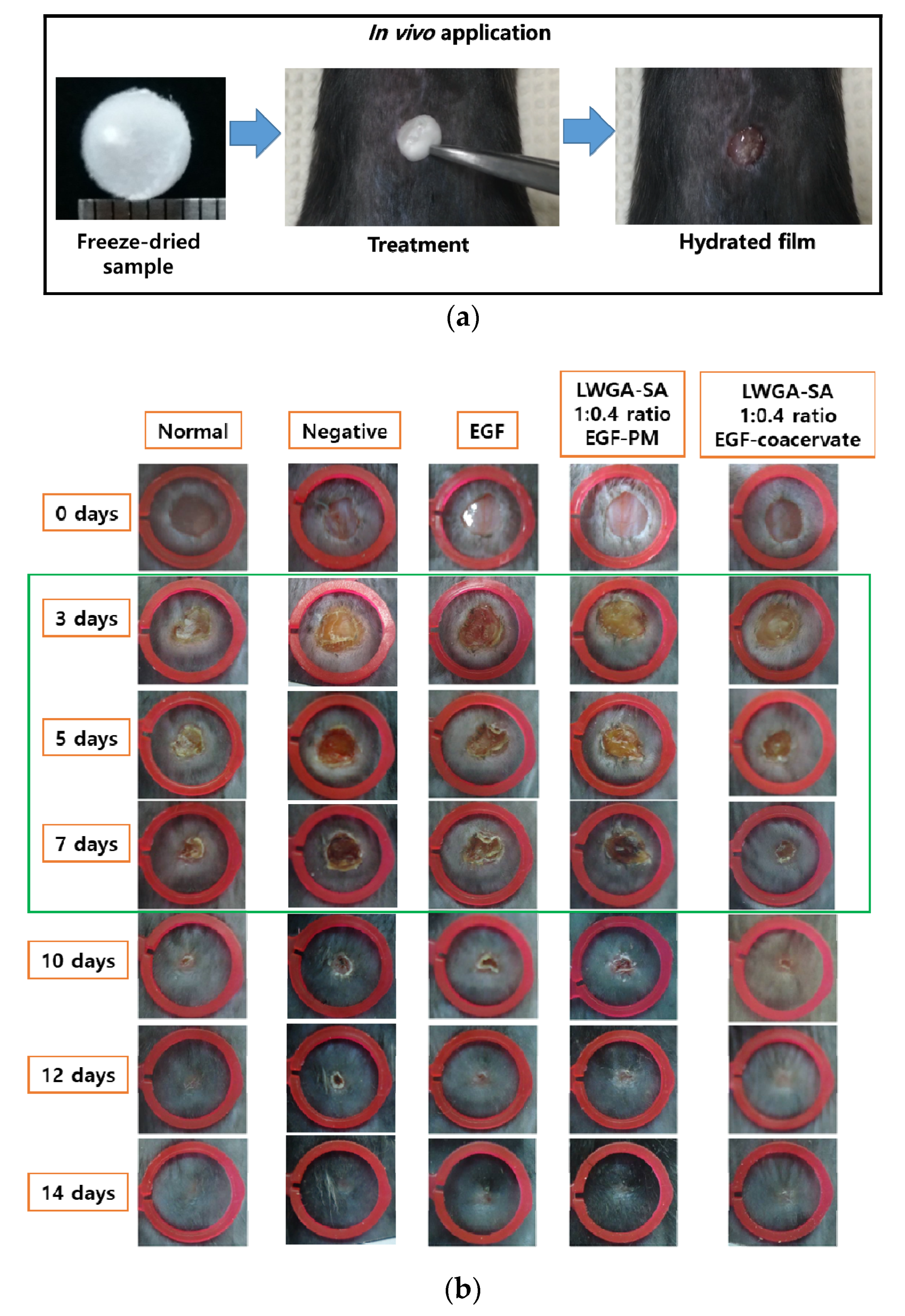 Pharmaceutics 12 00334 g003a Pharmaceutics 12 00334 g003a
