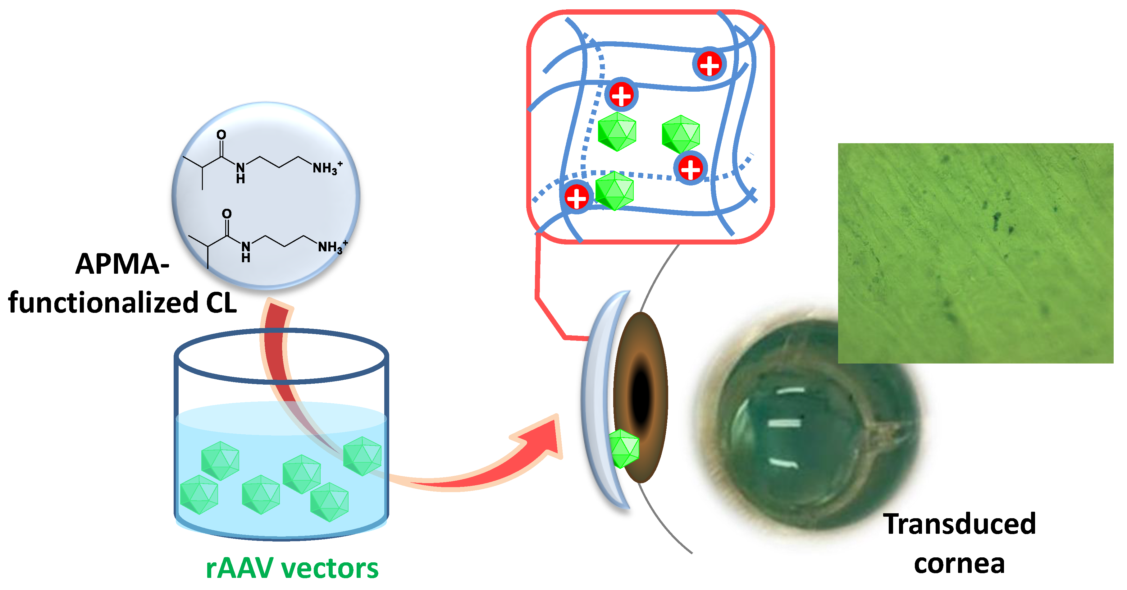Pharmaceutics 12 00335 g001 Pharmaceutics 12 00335 g001