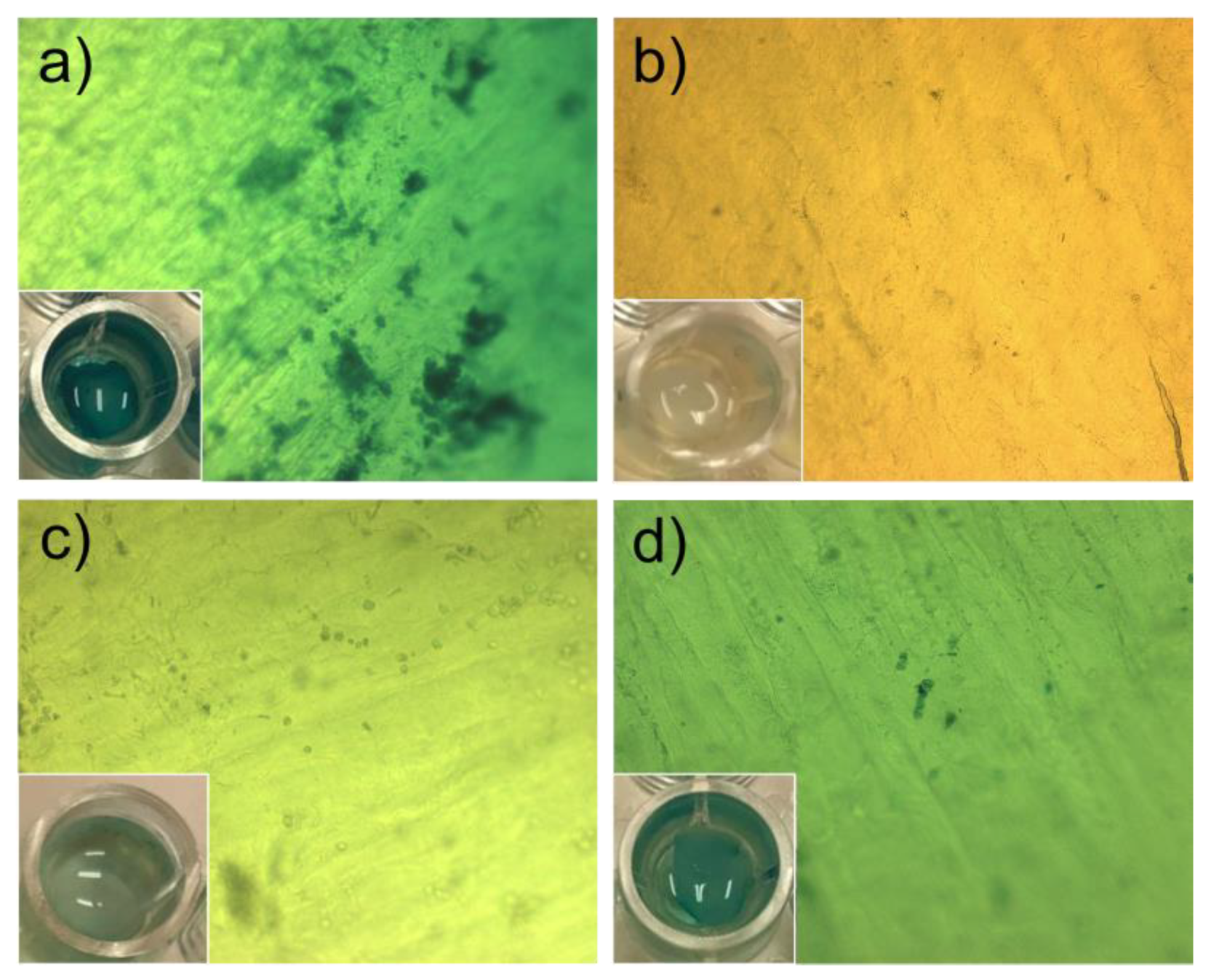 Pharmaceutics 12 00335 g007 Pharmaceutics 12 00335 g007
