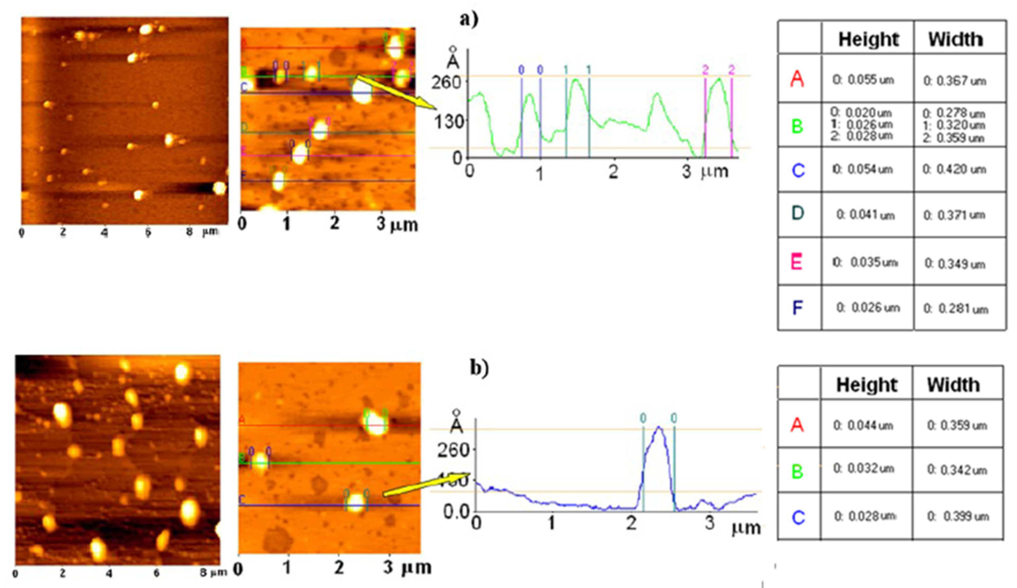 Pharmaceutics 12 00339 g001