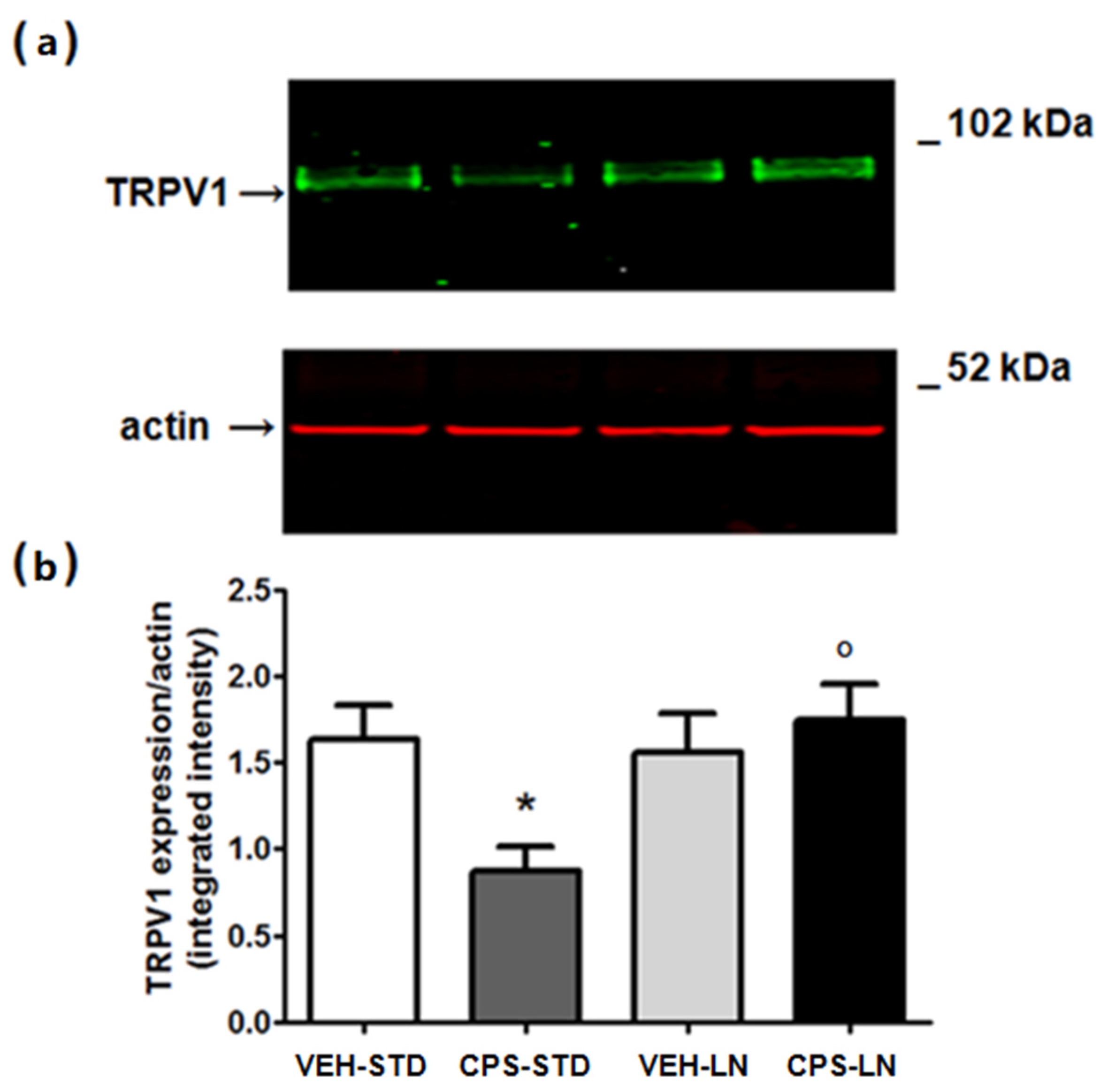 Pharmaceutics 12 00339 g005