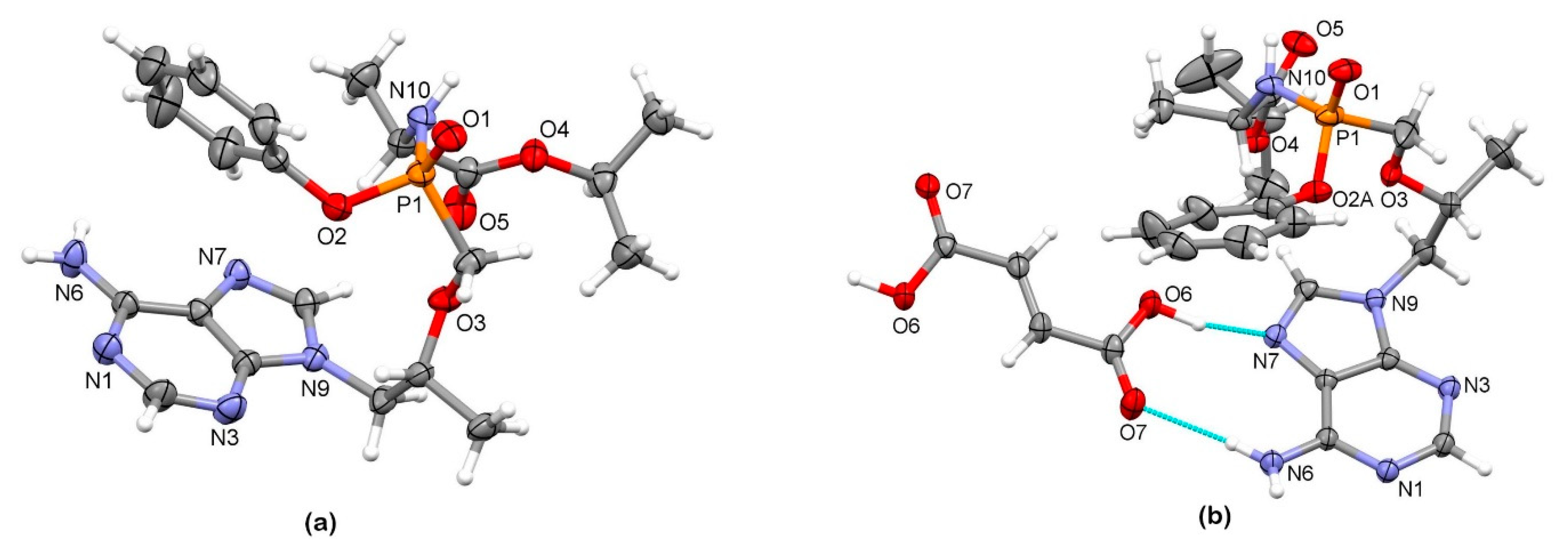 Pharmaceutics 12 00342 g003