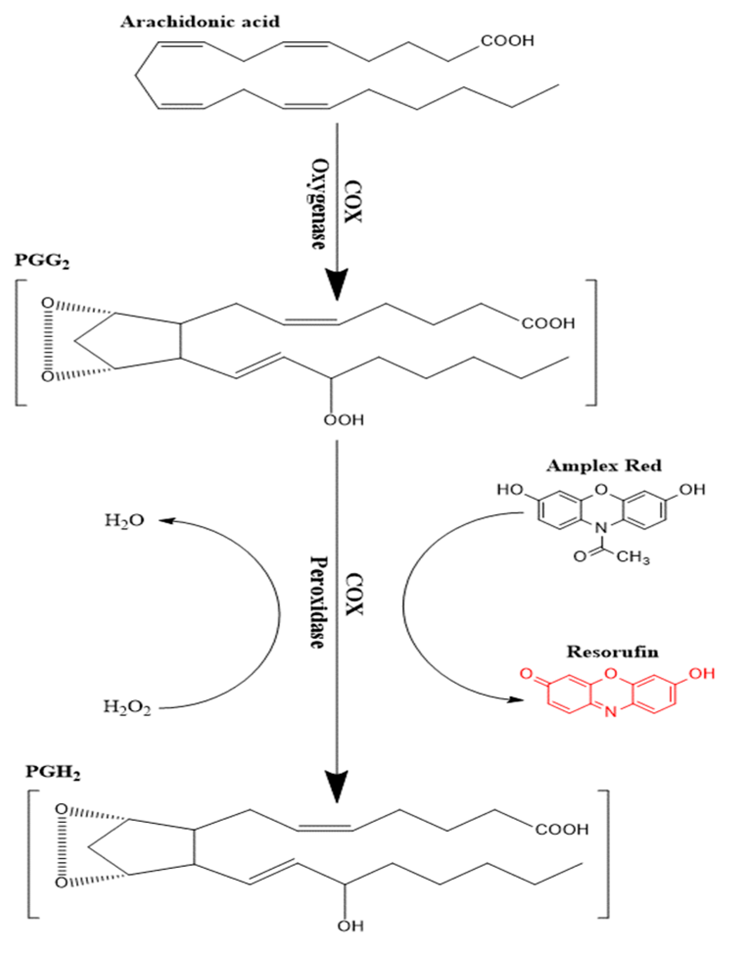 Pharmaceutics 12 00344 g002 Pharmaceutics 12 00344 g002