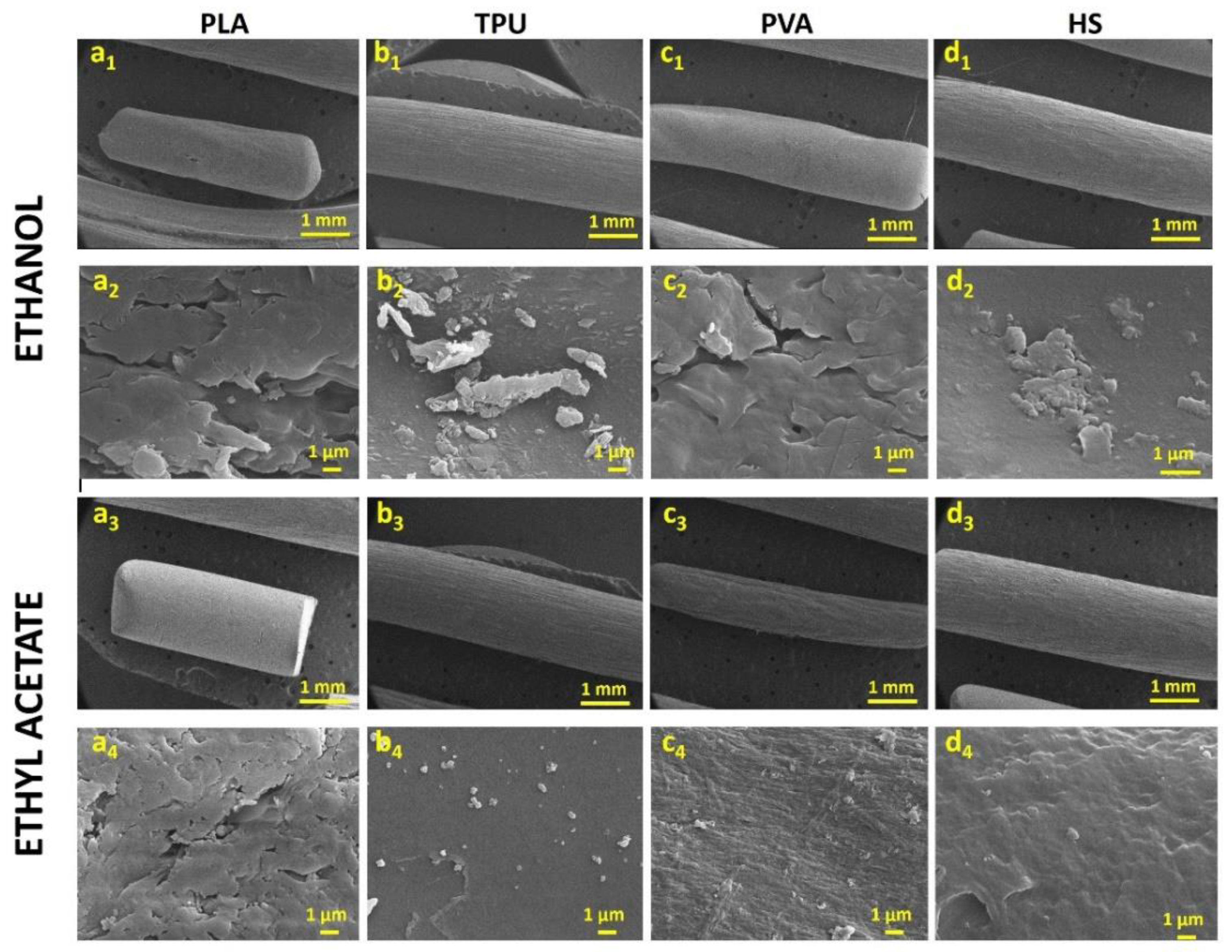 Pharmaceutics 12 00345 g002