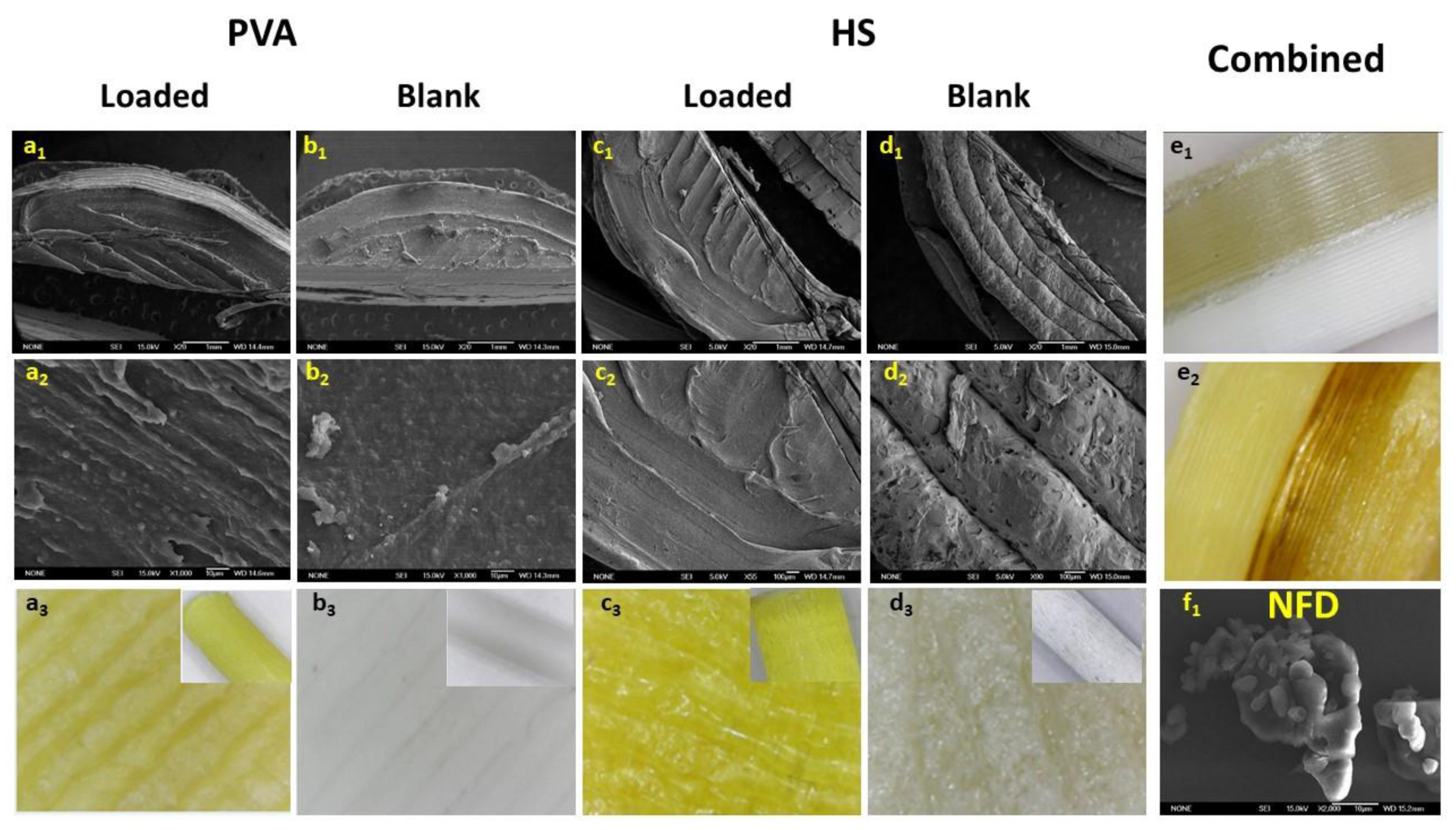 Pharmaceutics 12 00345 g003