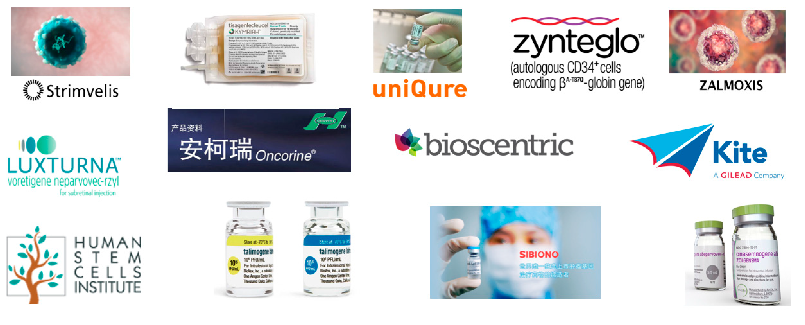 Pharmaceutics 12 00350 g005