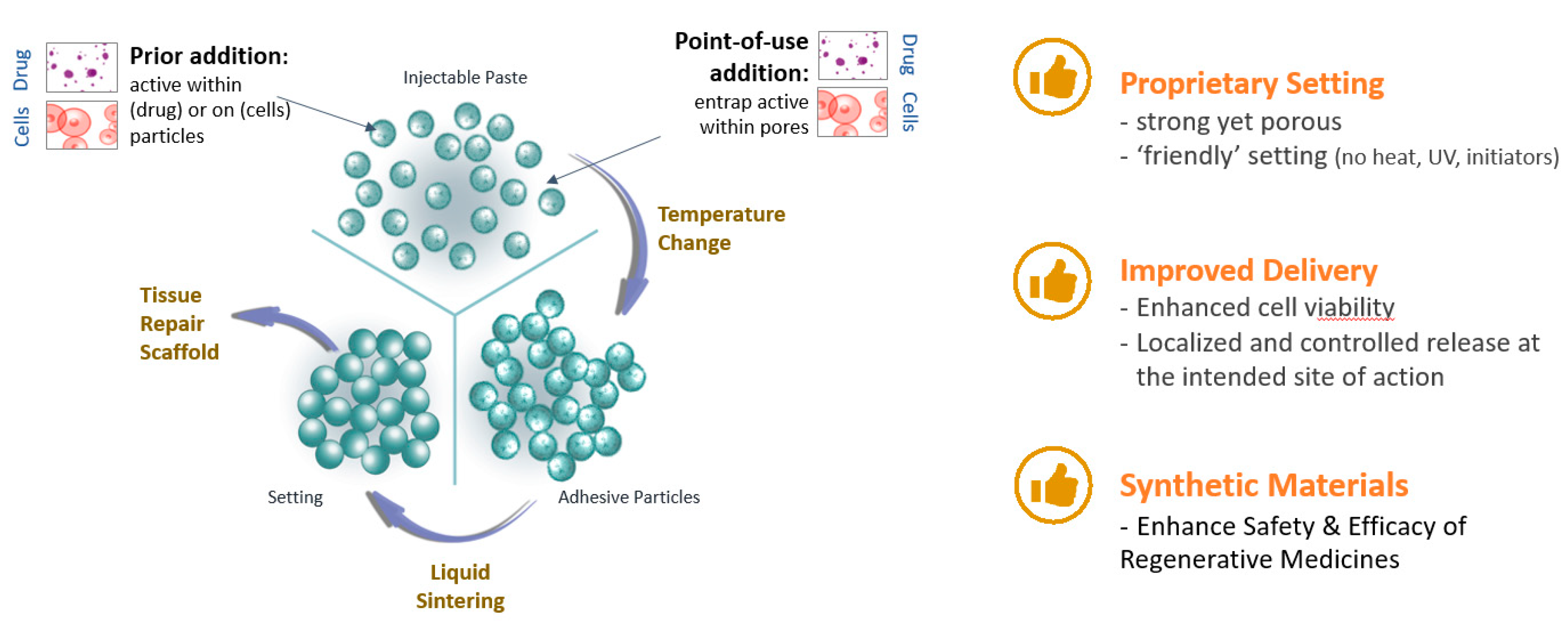 Pharmaceutics 12 00350 g007