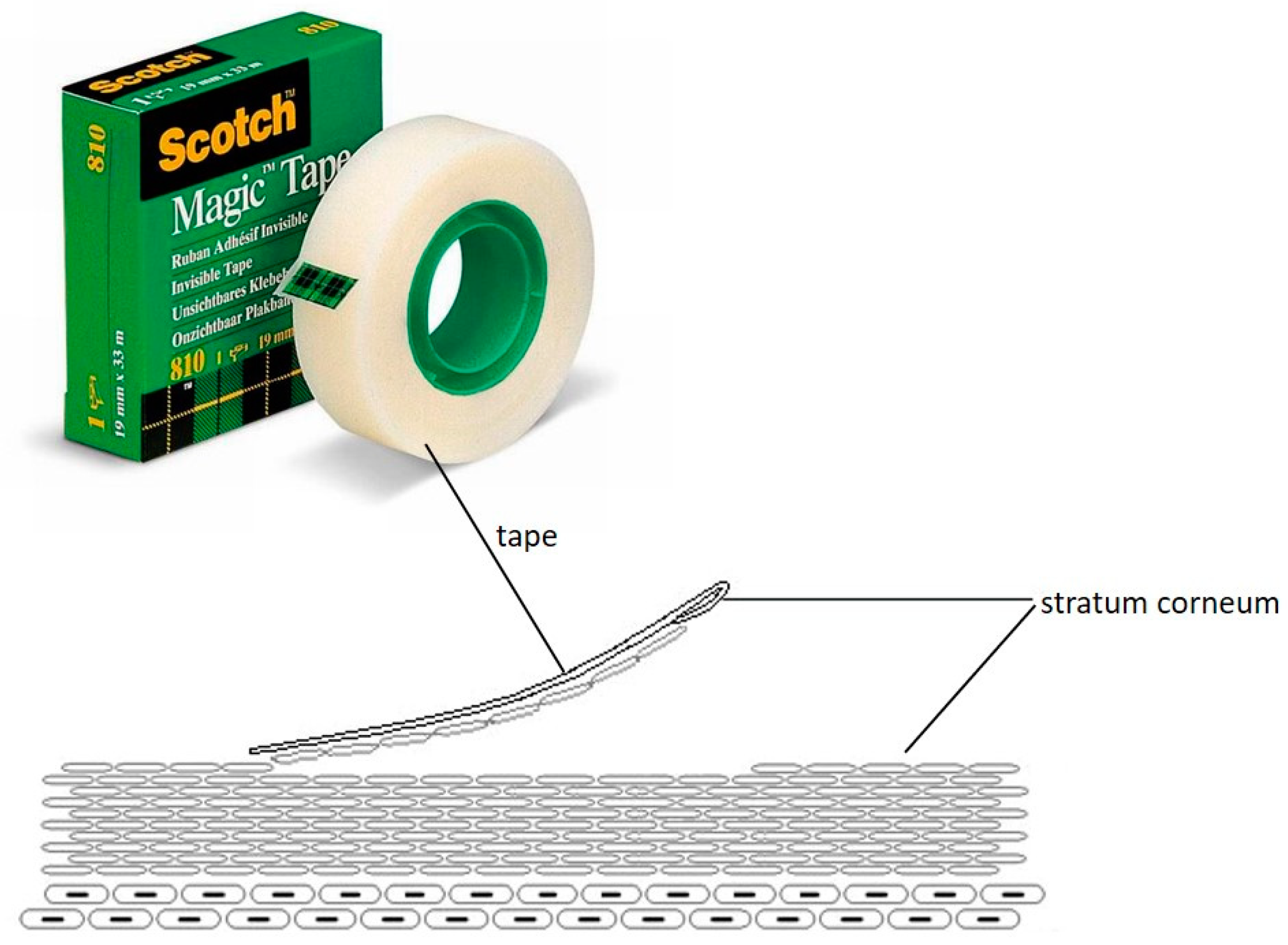 Pharmaceutics 12 00350 g013