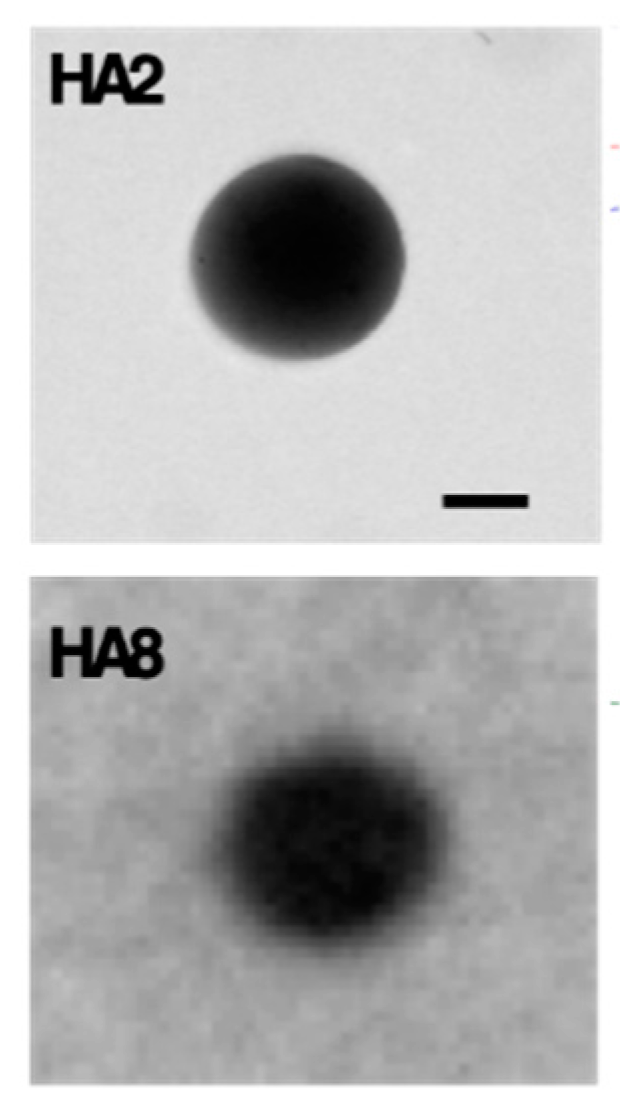 Pharmaceutics 12 00350 g015