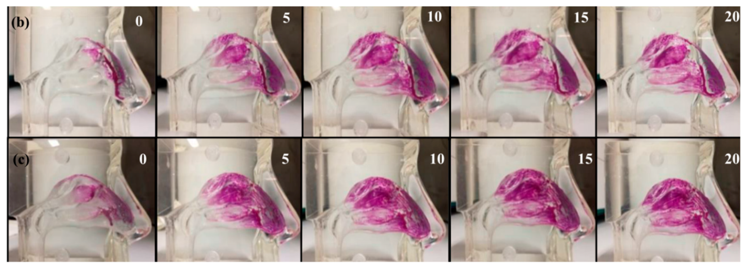 Pharmaceutics 12 00350 g018