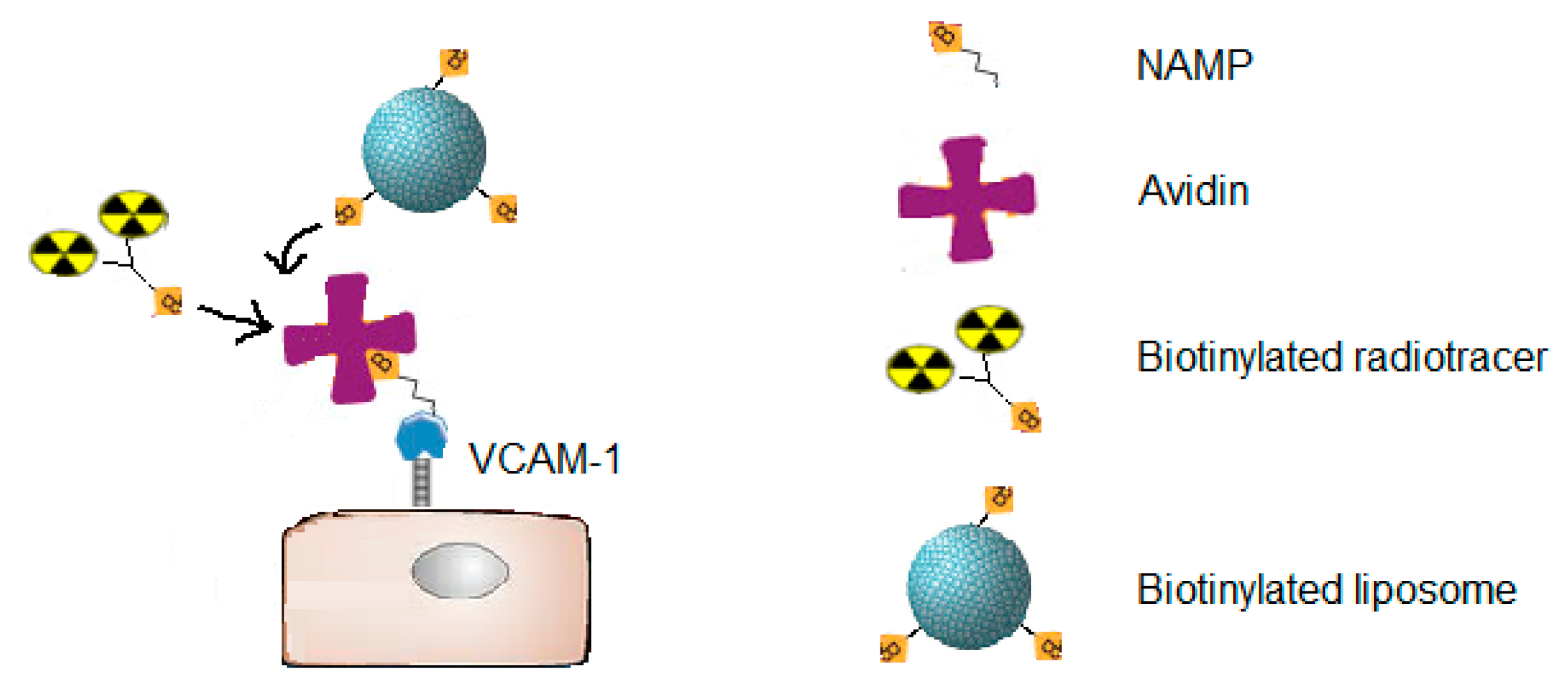 Pharmaceutics 12 00350 g025
