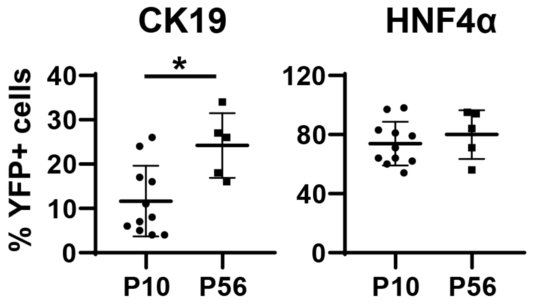 Pharmaceutics 12 00351 g002 Pharmaceutics 12 00351 g002
