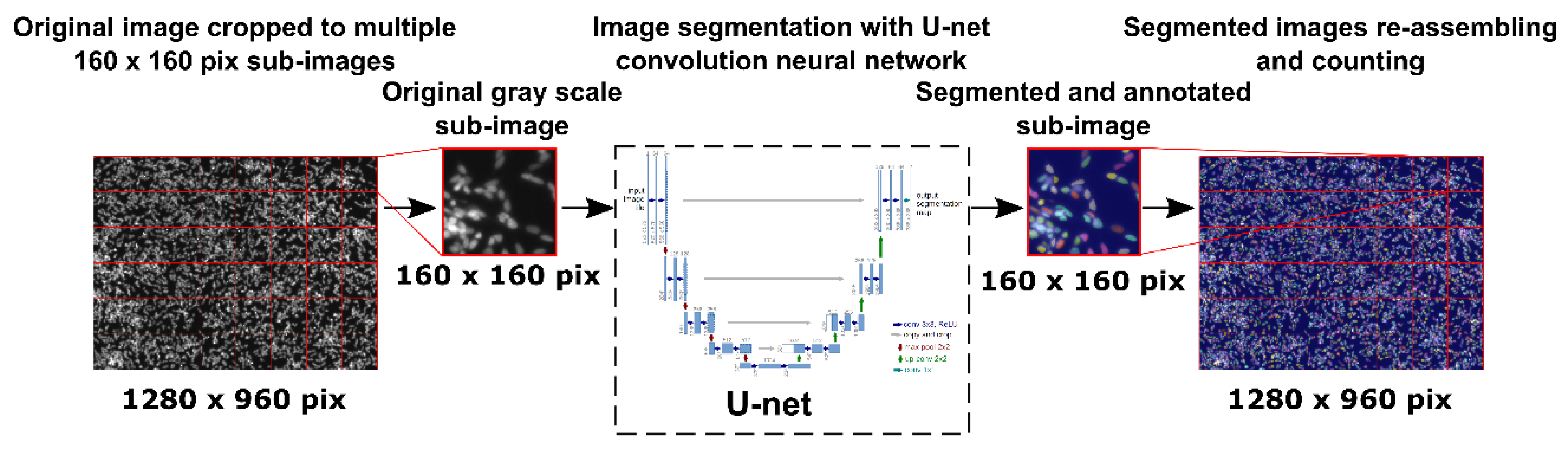 Pharmaceutics 12 00356 g001