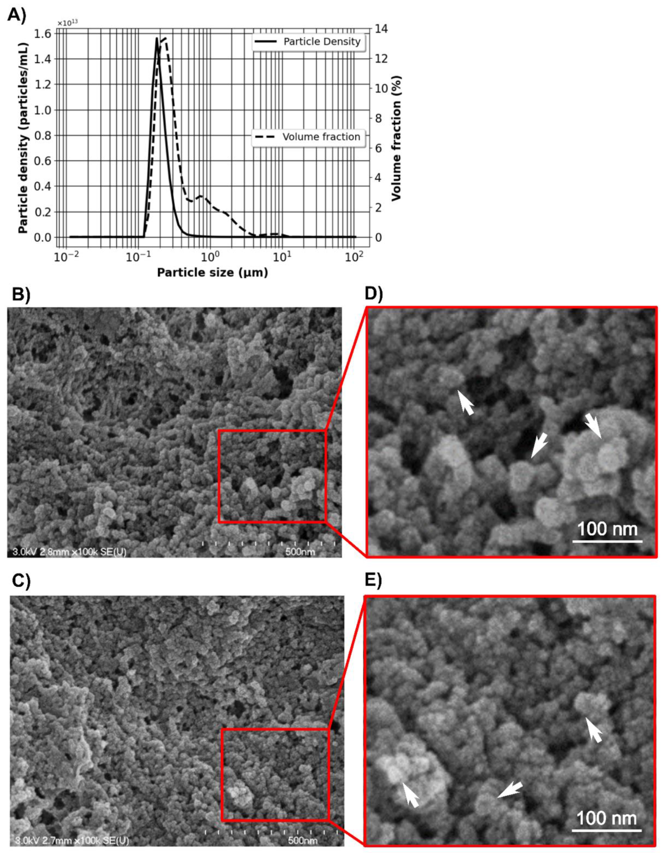 Pharmaceutics 12 00356 g002