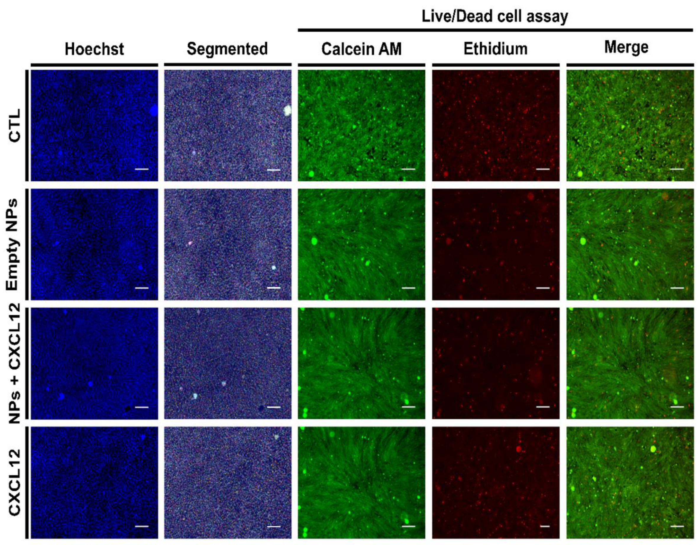 Pharmaceutics 12 00356 g006