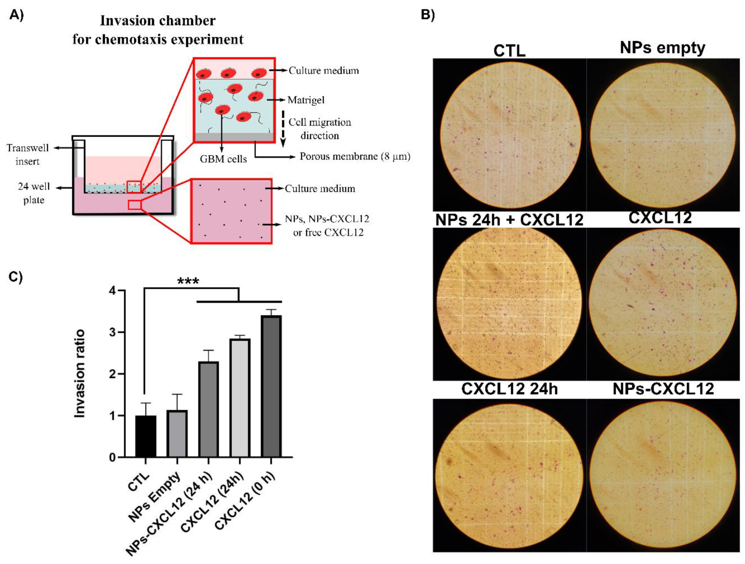 Pharmaceutics 12 00356 g007