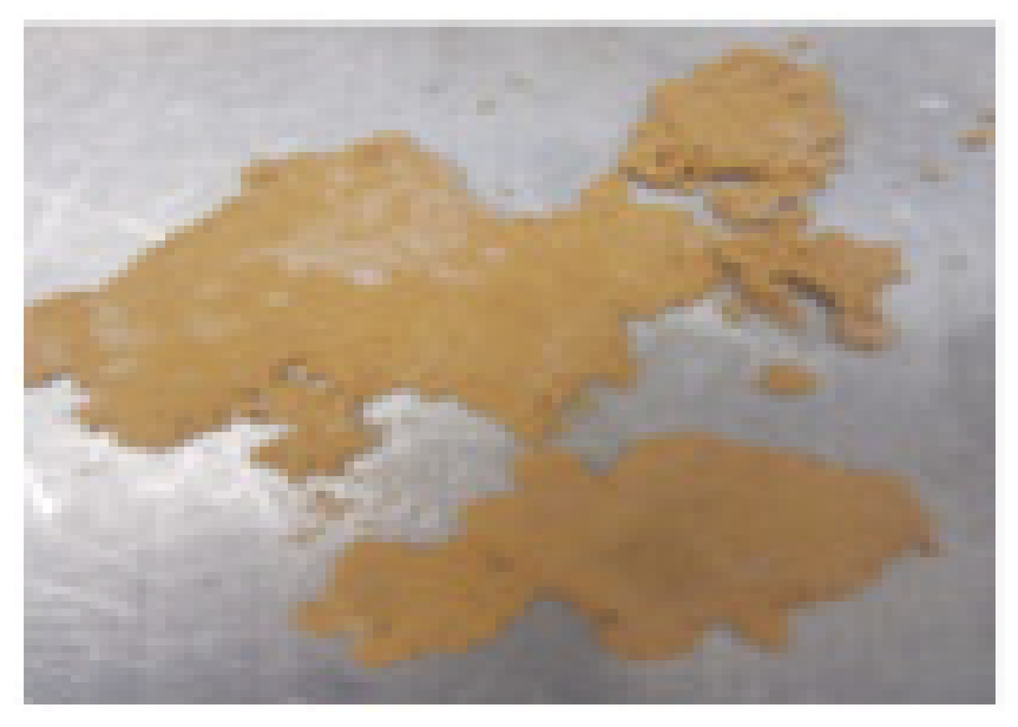 Pharmaceutics 12 00357 i008 Pharmaceutics 12 00357 i008