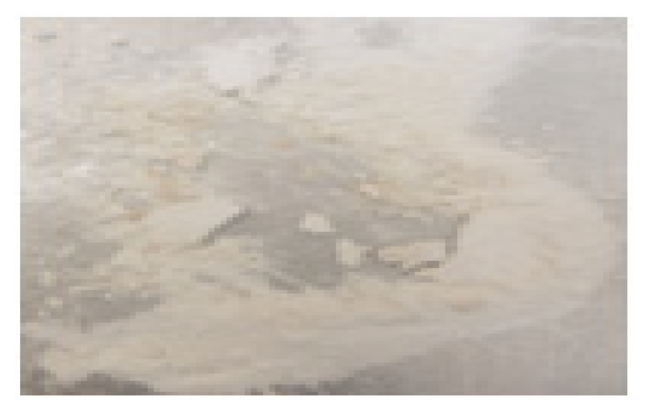 Pharmaceutics 12 00357 i009 Pharmaceutics 12 00357 i009