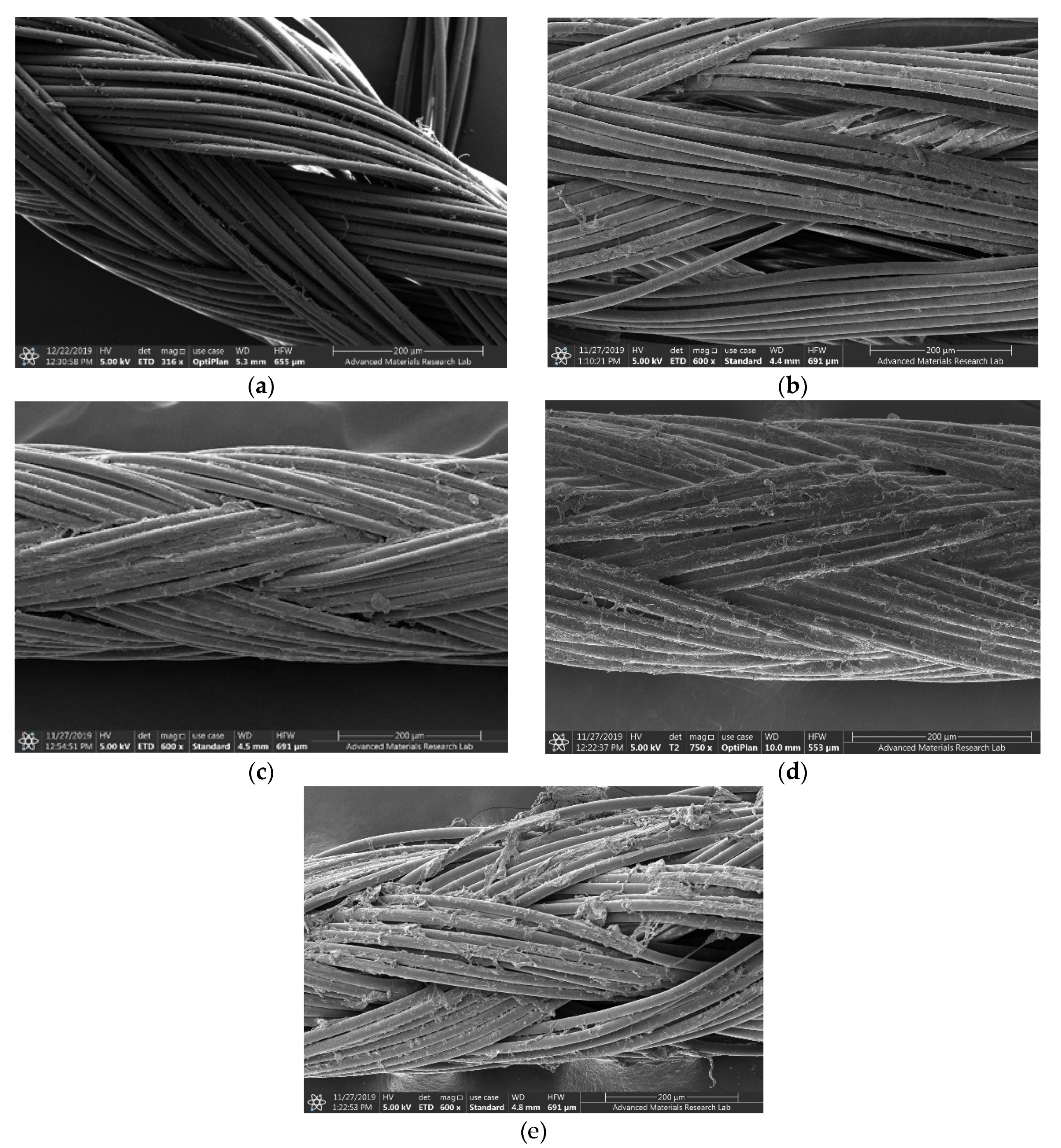 Pharmaceutics 12 00361 g002