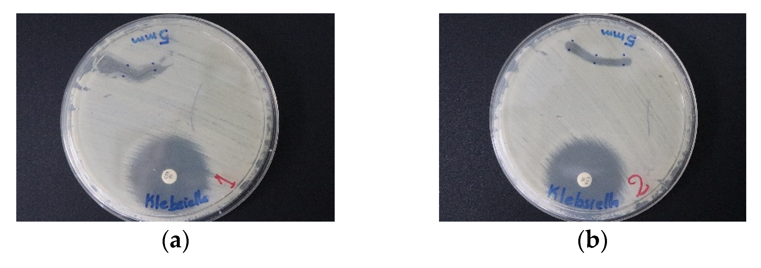 Pharmaceutics 12 00361 g012a