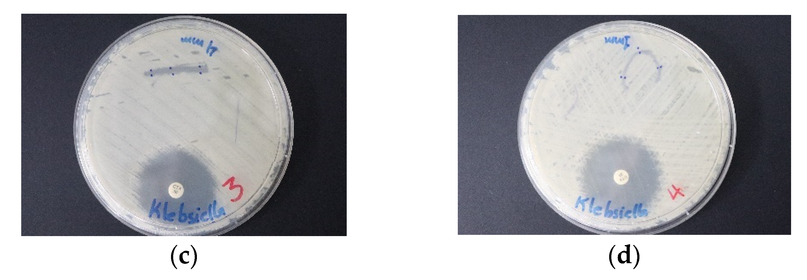 Pharmaceutics 12 00361 g012b