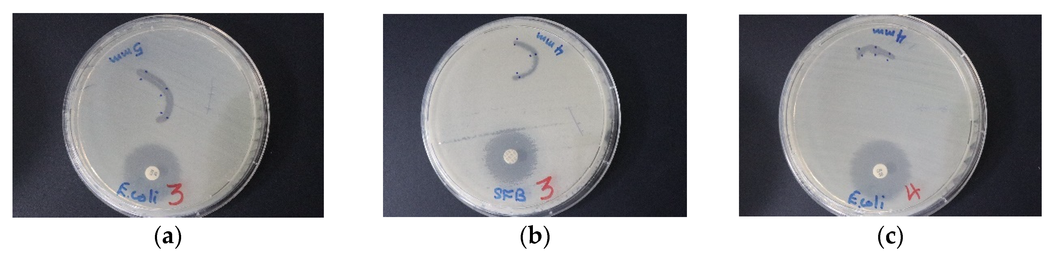 Pharmaceutics 12 00361 g014