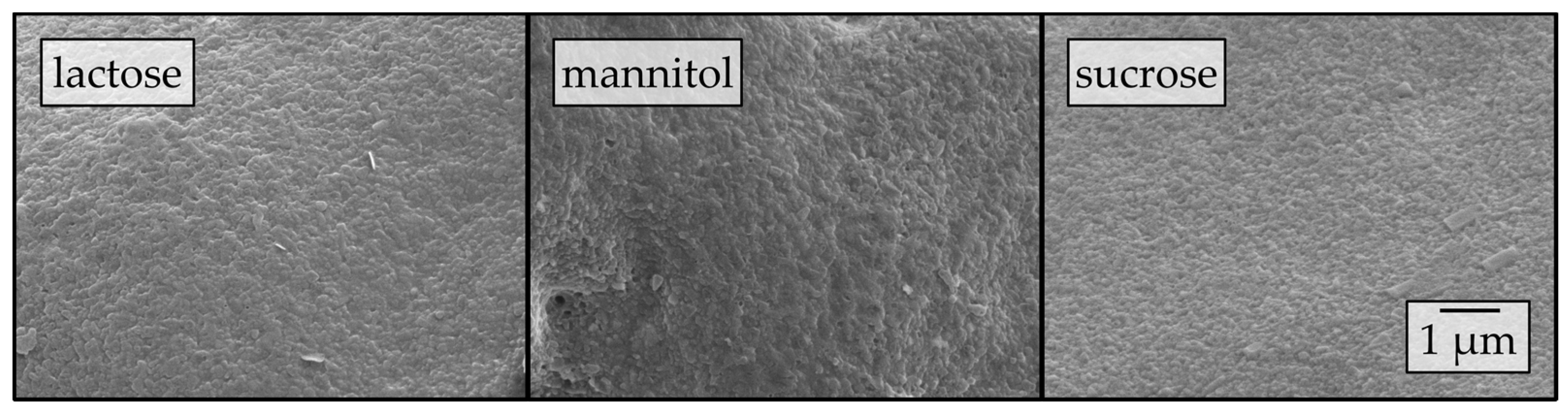 Pharmaceutics 12 00363 g010 Pharmaceutics 12 00363 g010