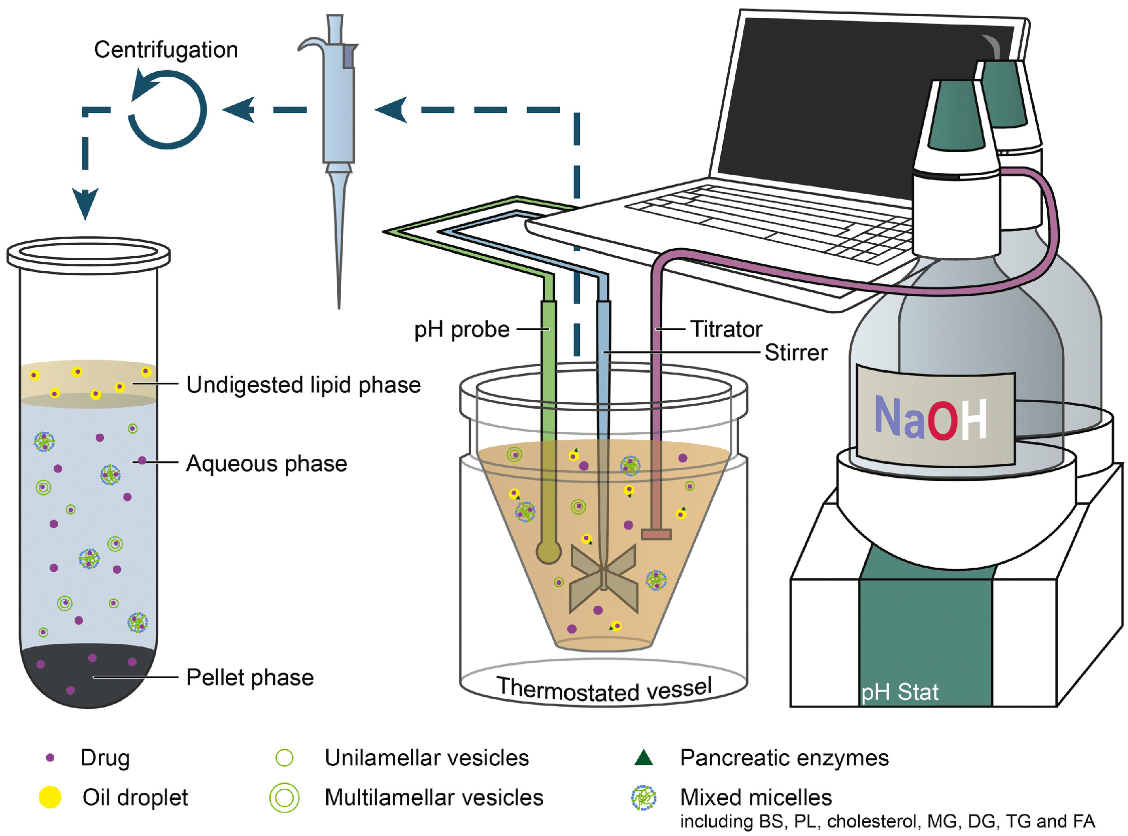 Pharmaceutics 12 00365 g005 Pharmaceutics 12 00365 g005