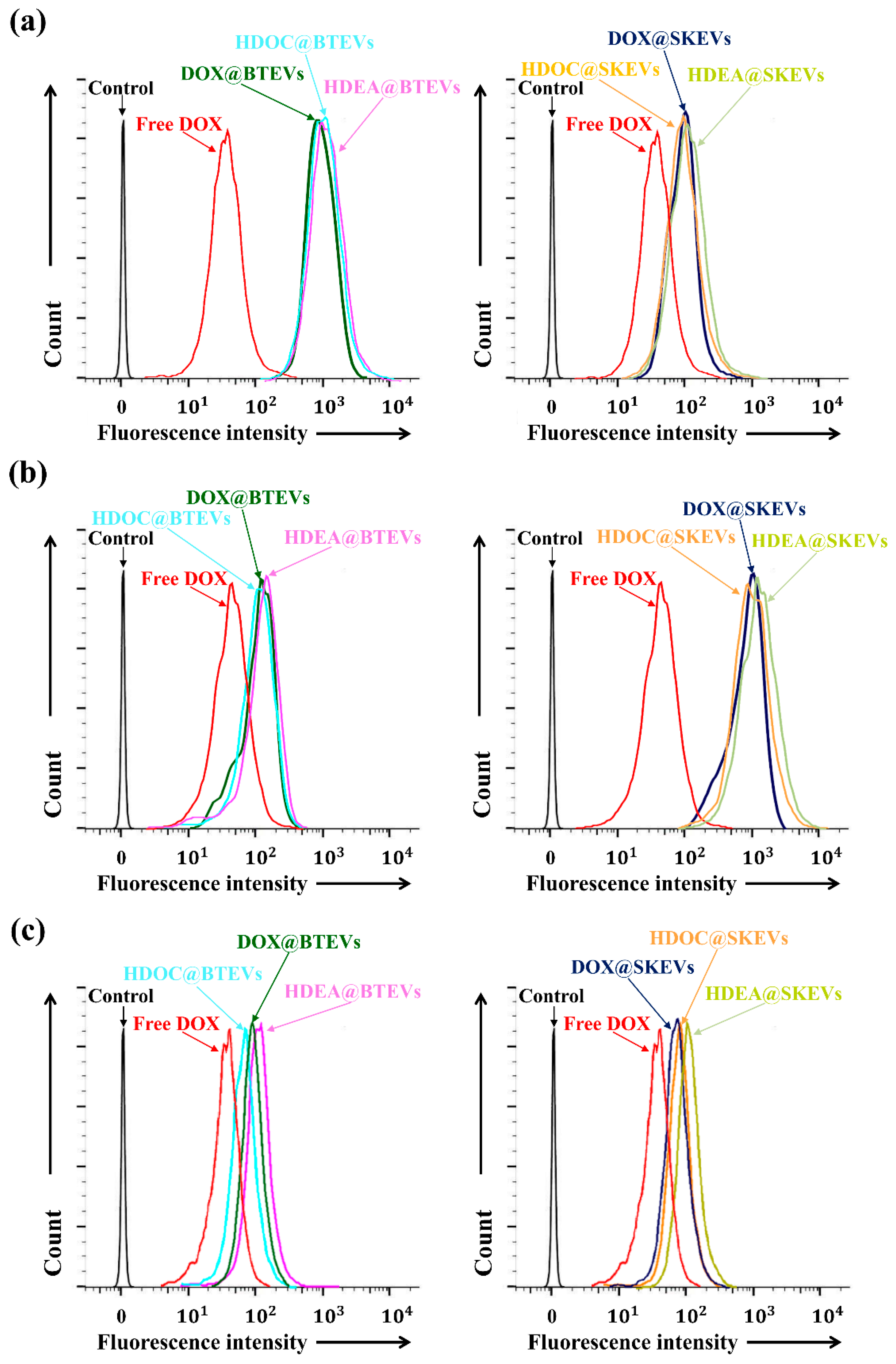 Pharmaceutics 12 00372 g004 Pharmaceutics 12 00372 g004