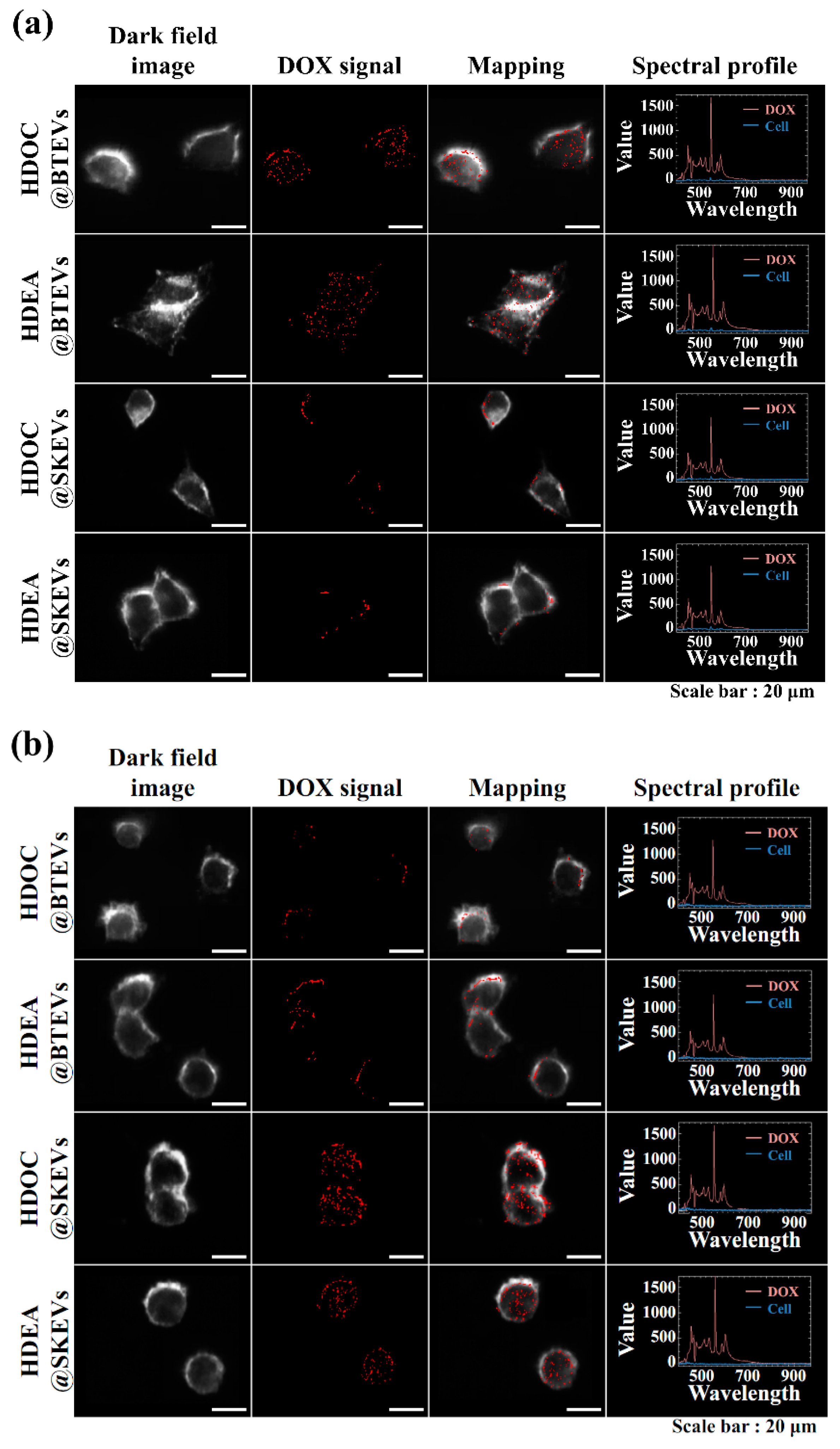 Pharmaceutics 12 00372 g005 Pharmaceutics 12 00372 g005