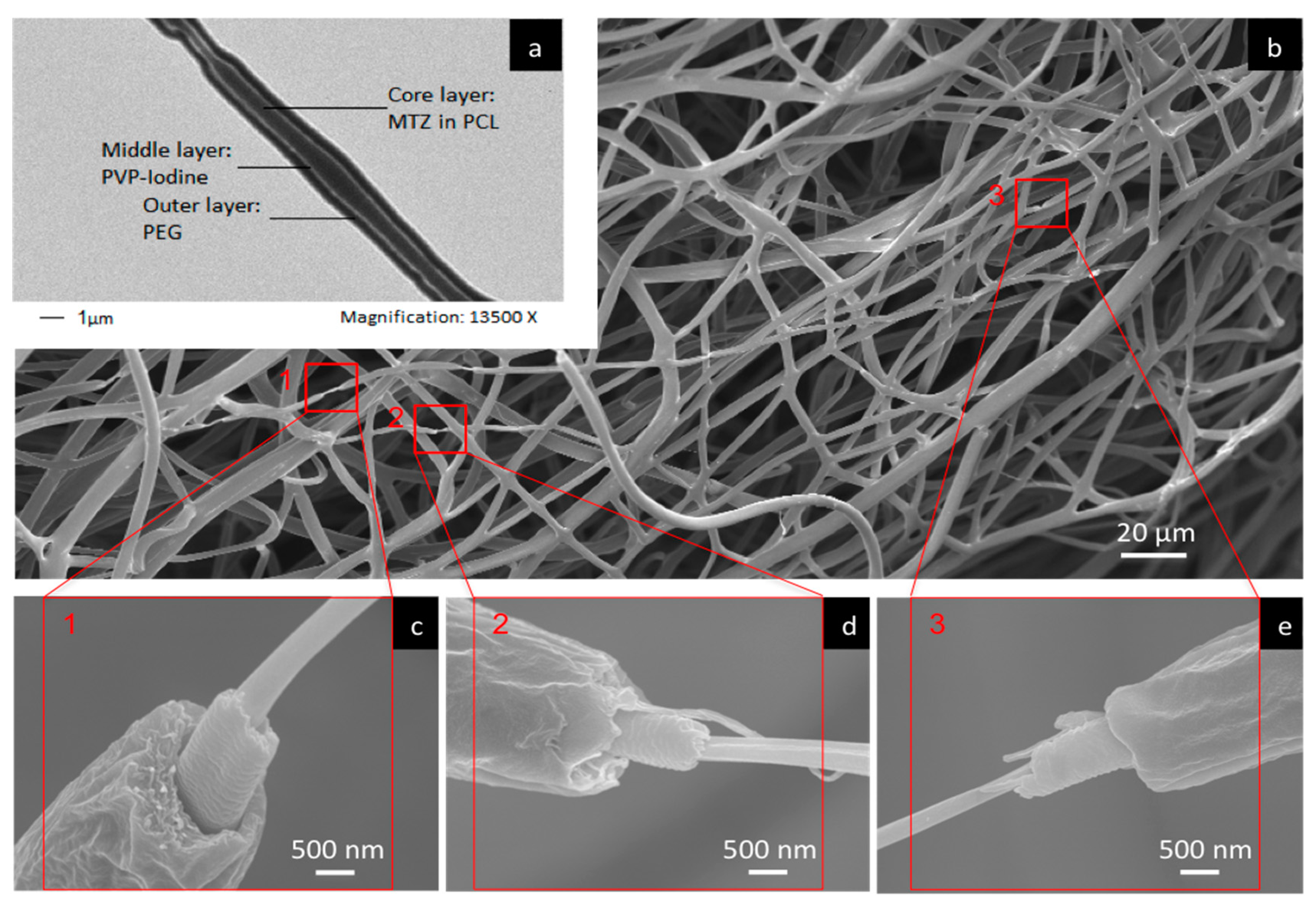 Pharmaceutics 12 00373 g003 Pharmaceutics 12 00373 g003