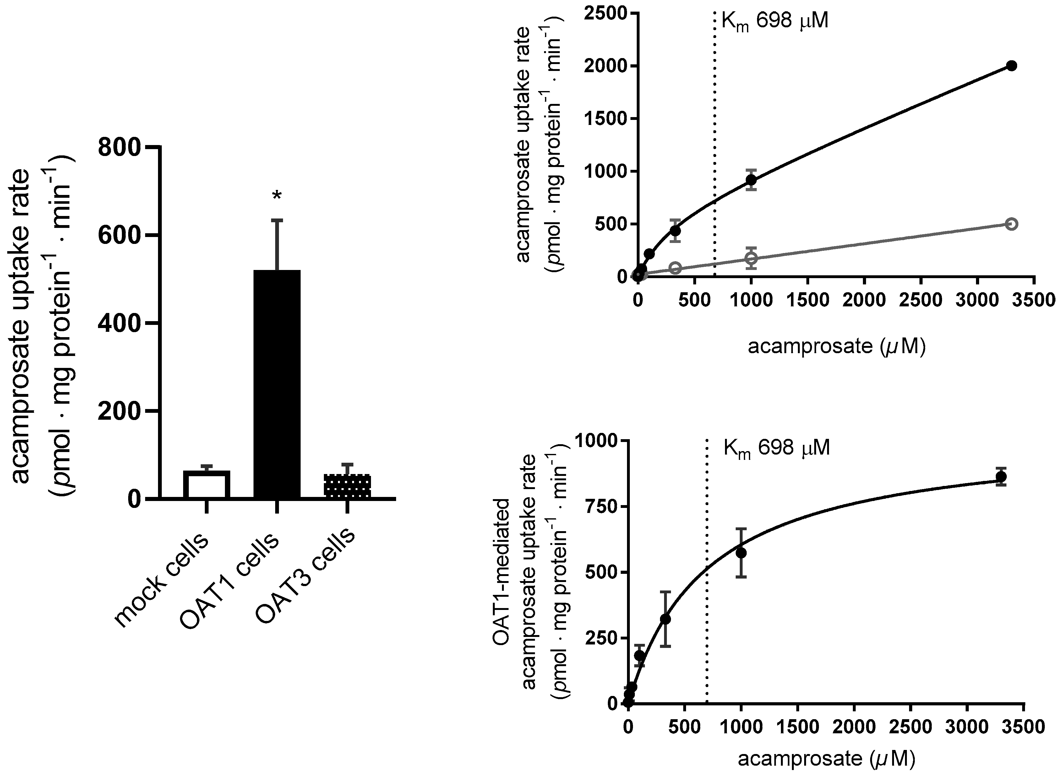 Pharmaceutics 12 00390 g006