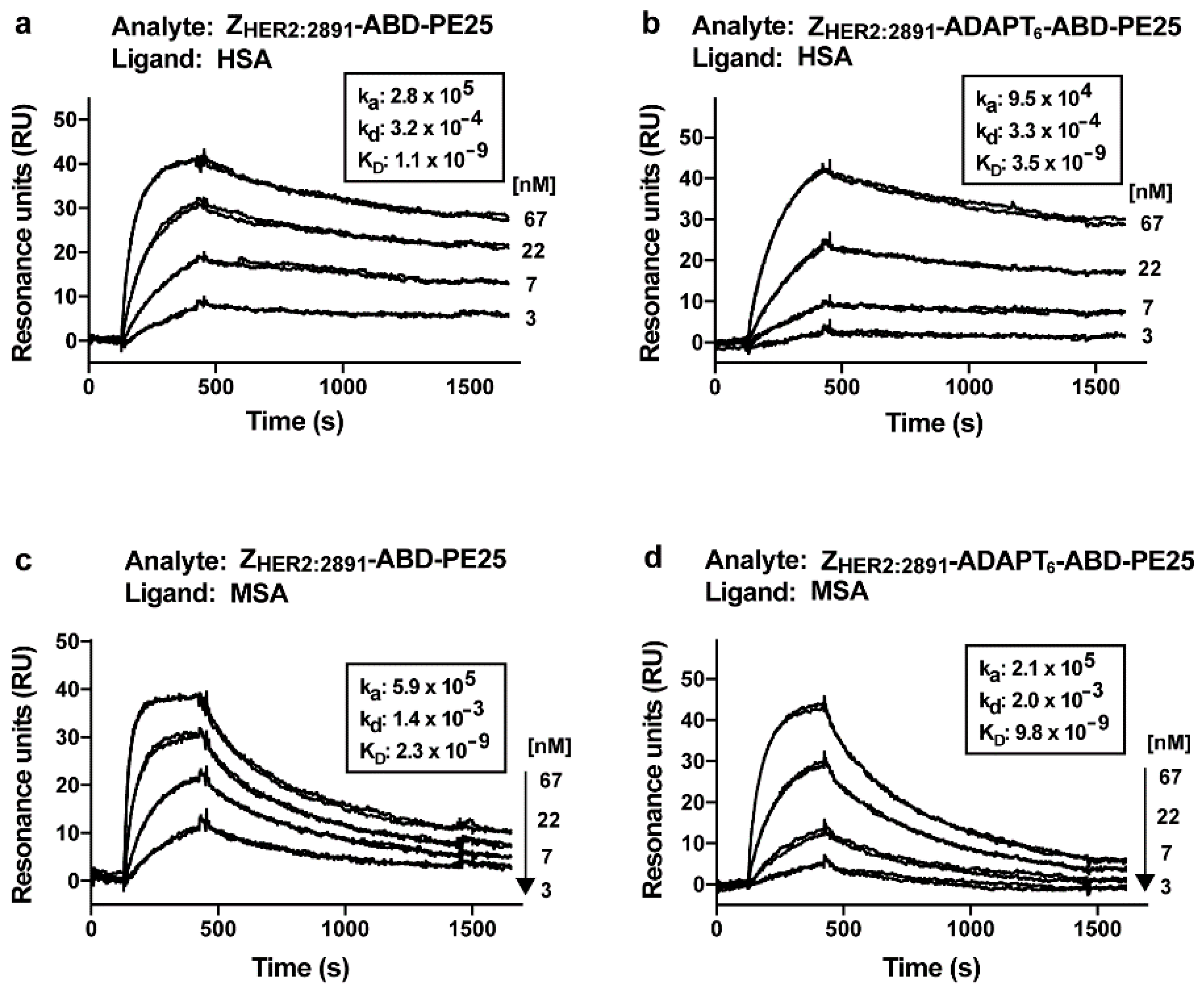 Pharmaceutics 12 00391 g003
