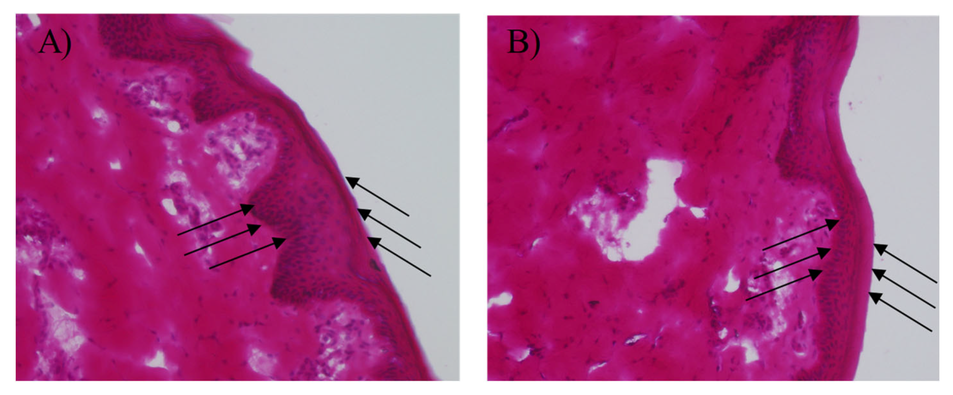 Pharmaceutics 12 00392 g008