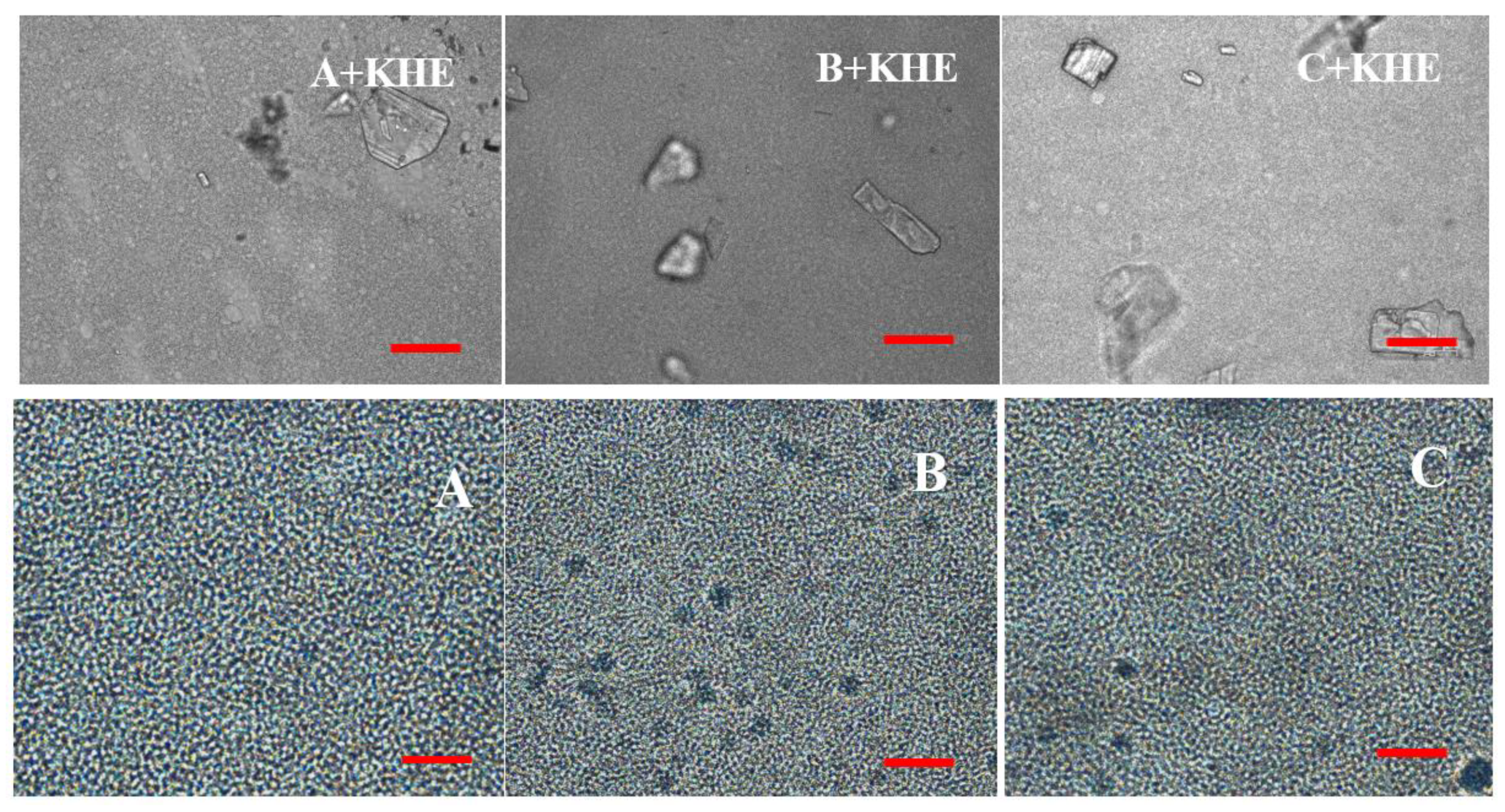 Pharmaceutics 12 00398 g003 Pharmaceutics 12 00398 g003