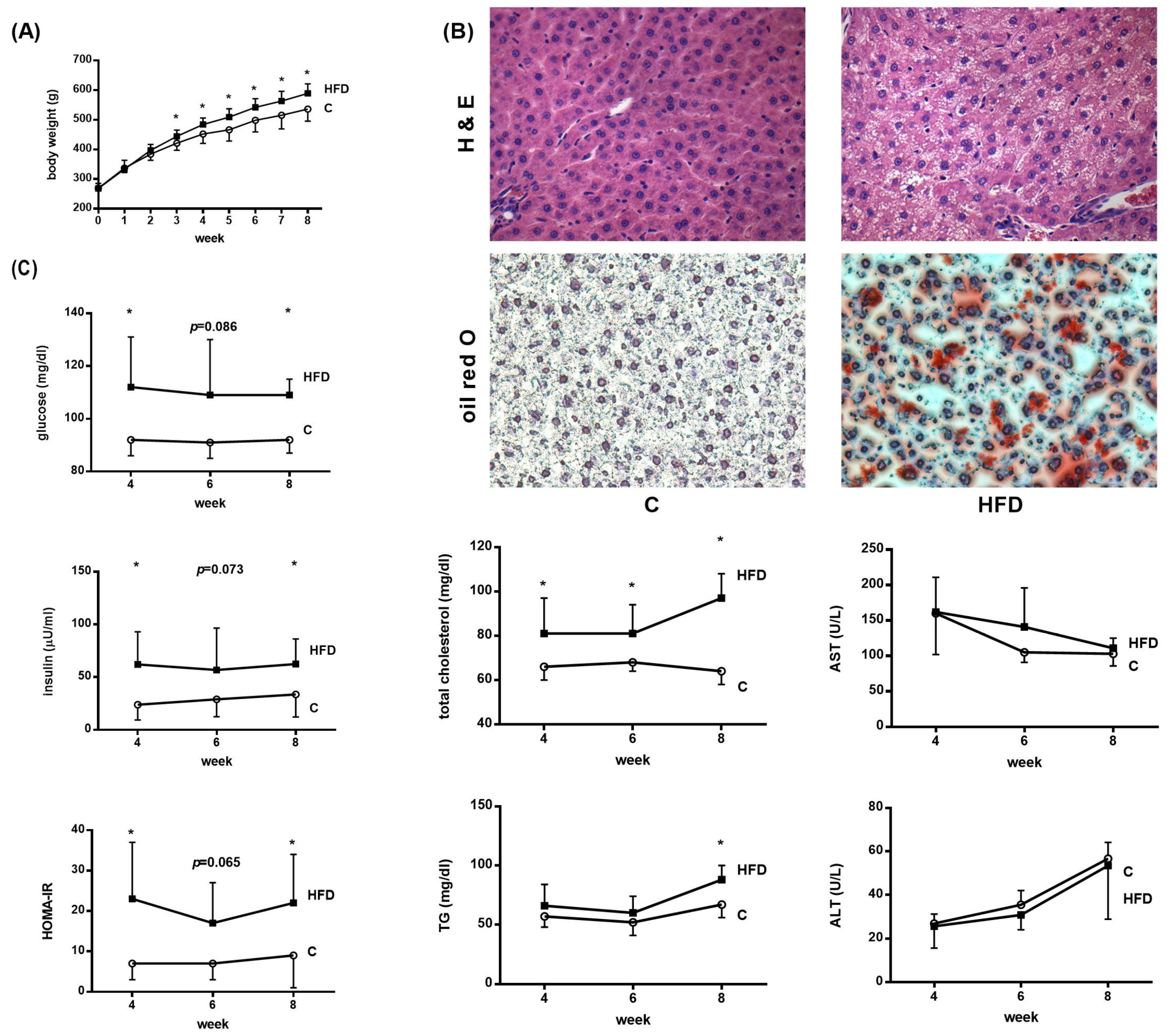 Pharmaceutics 12 00403 g001 Pharmaceutics 12 00403 g001