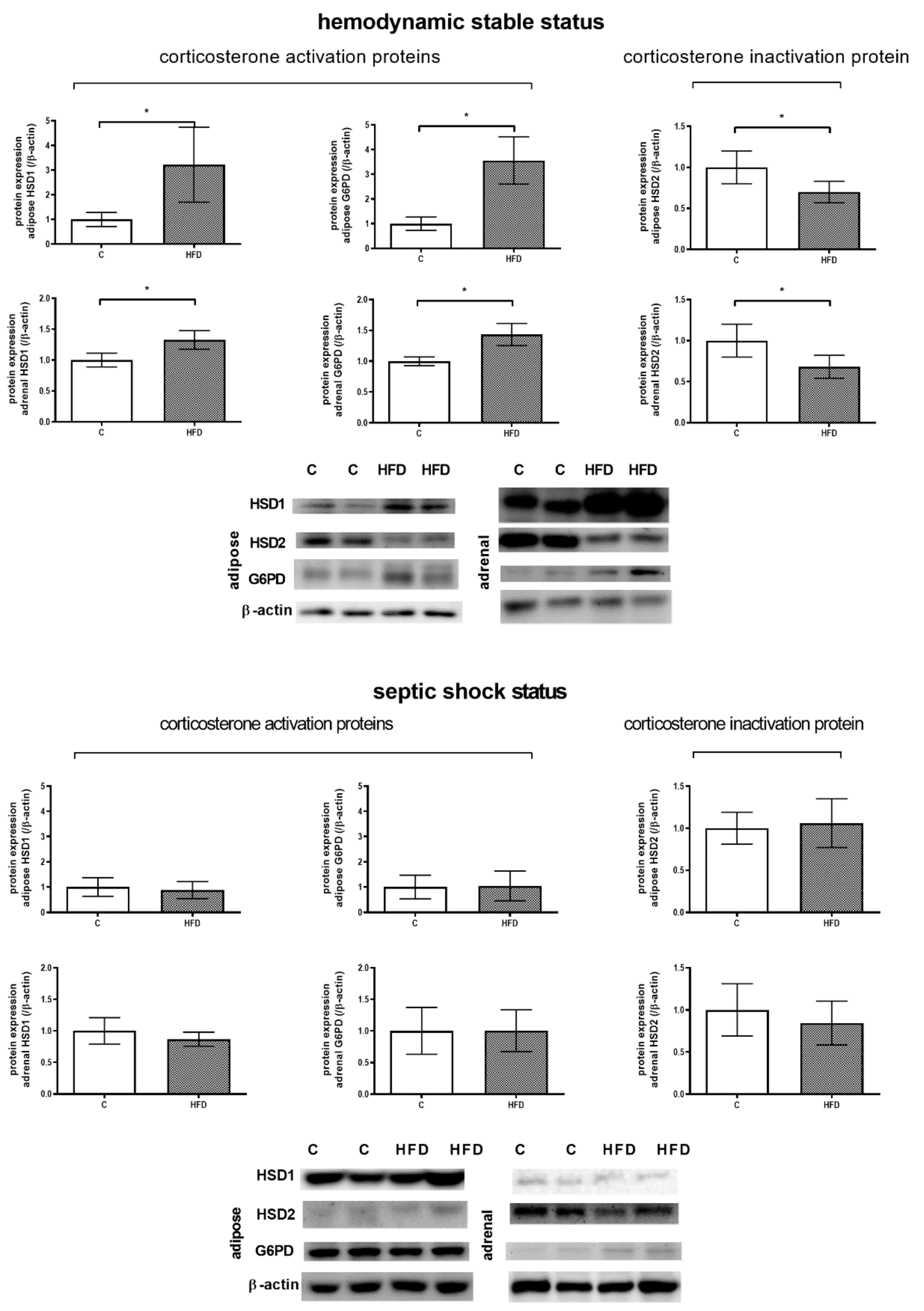 Pharmaceutics 12 00403 g008 Pharmaceutics 12 00403 g008